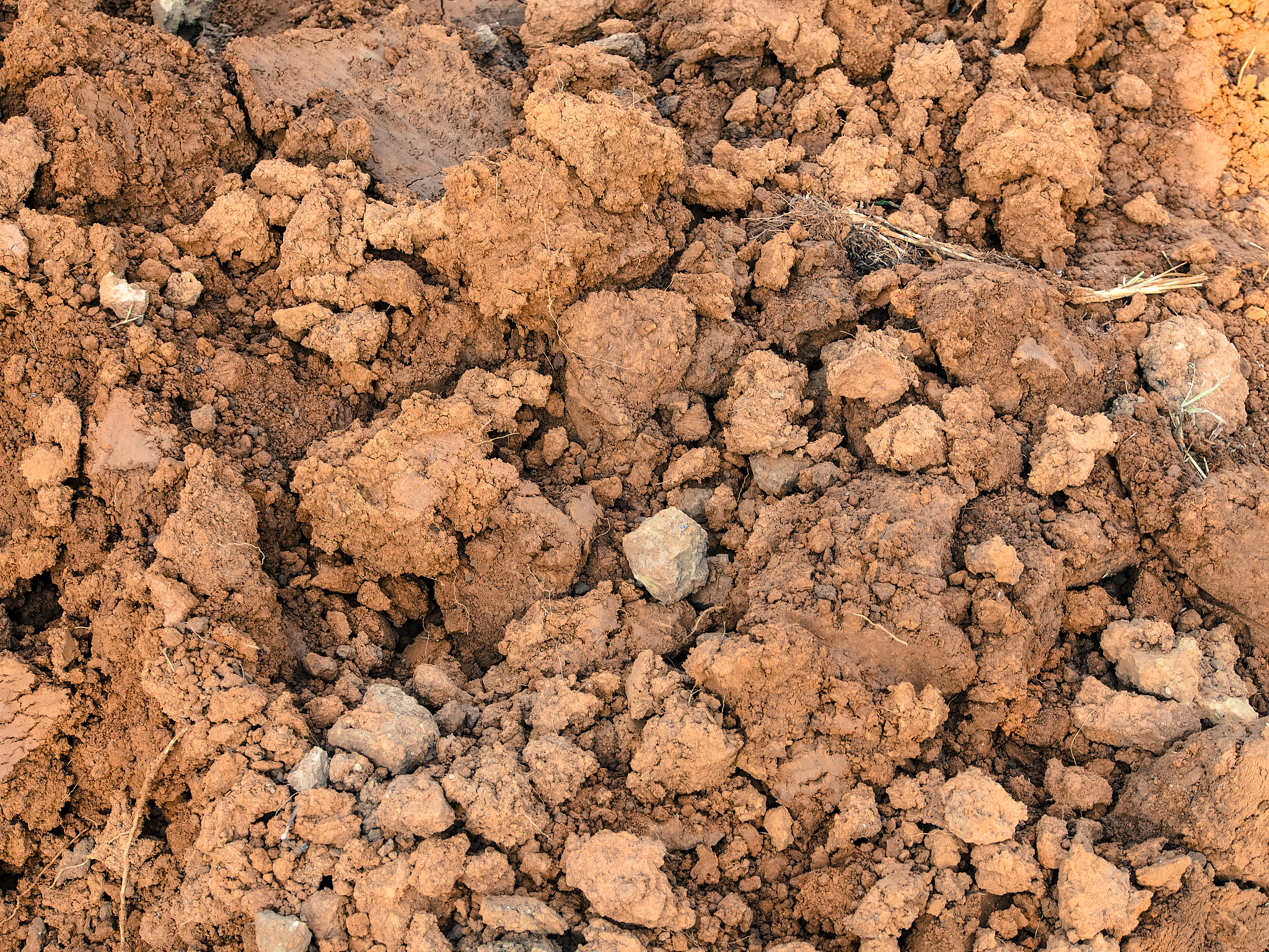 硫酸盐渍土详解：特点、配制方法及种植注意事项