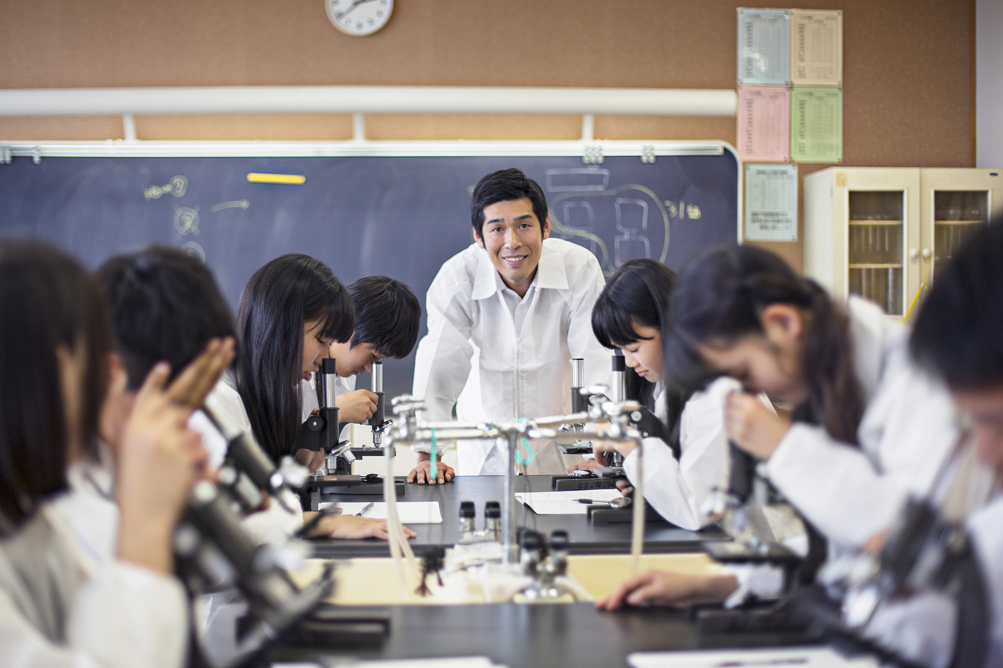 关于清代教育制度现代化能写什么