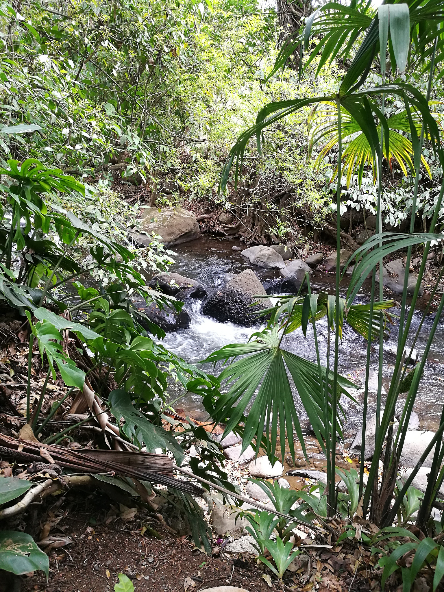 福建农林大学植物保护专业怎么样？就业前景如何？
