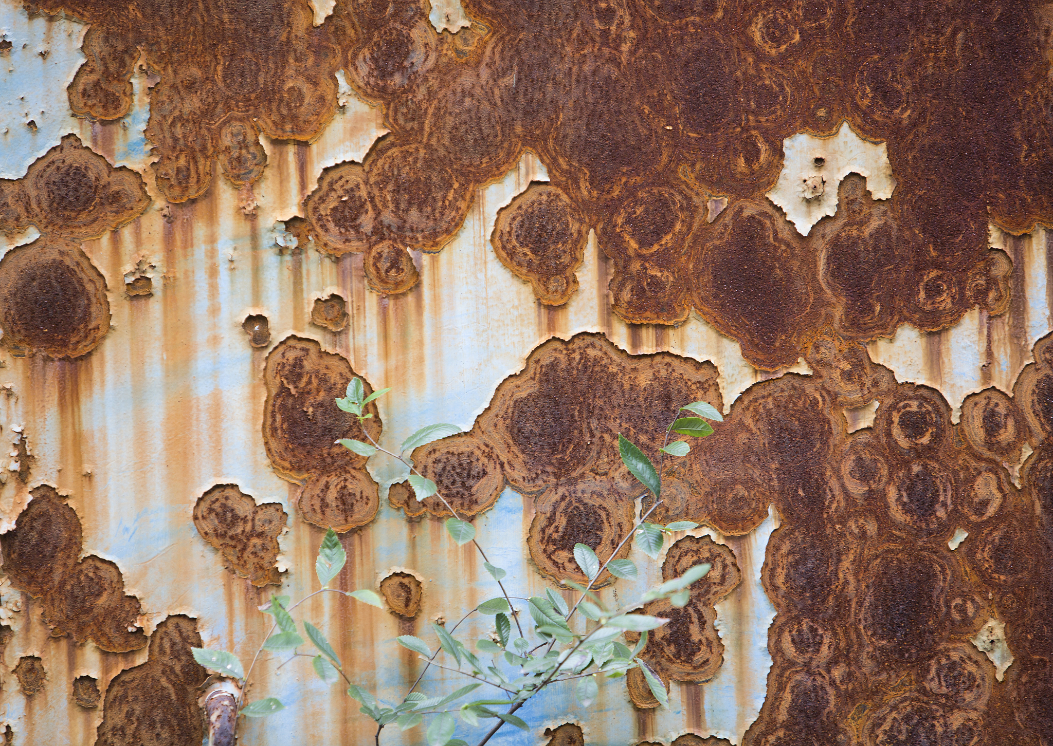 rusted white painted metal wall