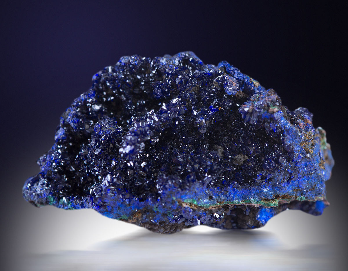 标本袋价格 - 哪里买？多少钱？