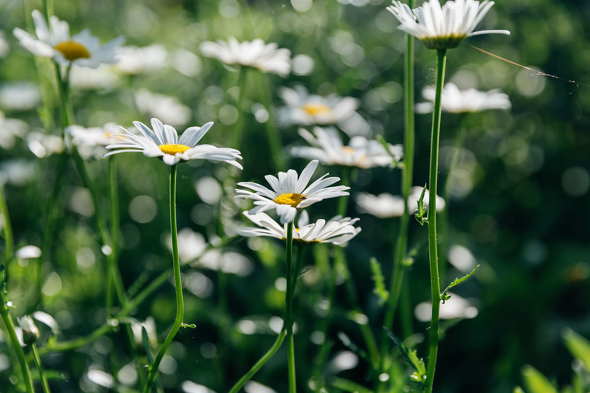 重庆公共运输职业学院单招2023年春季招生简章