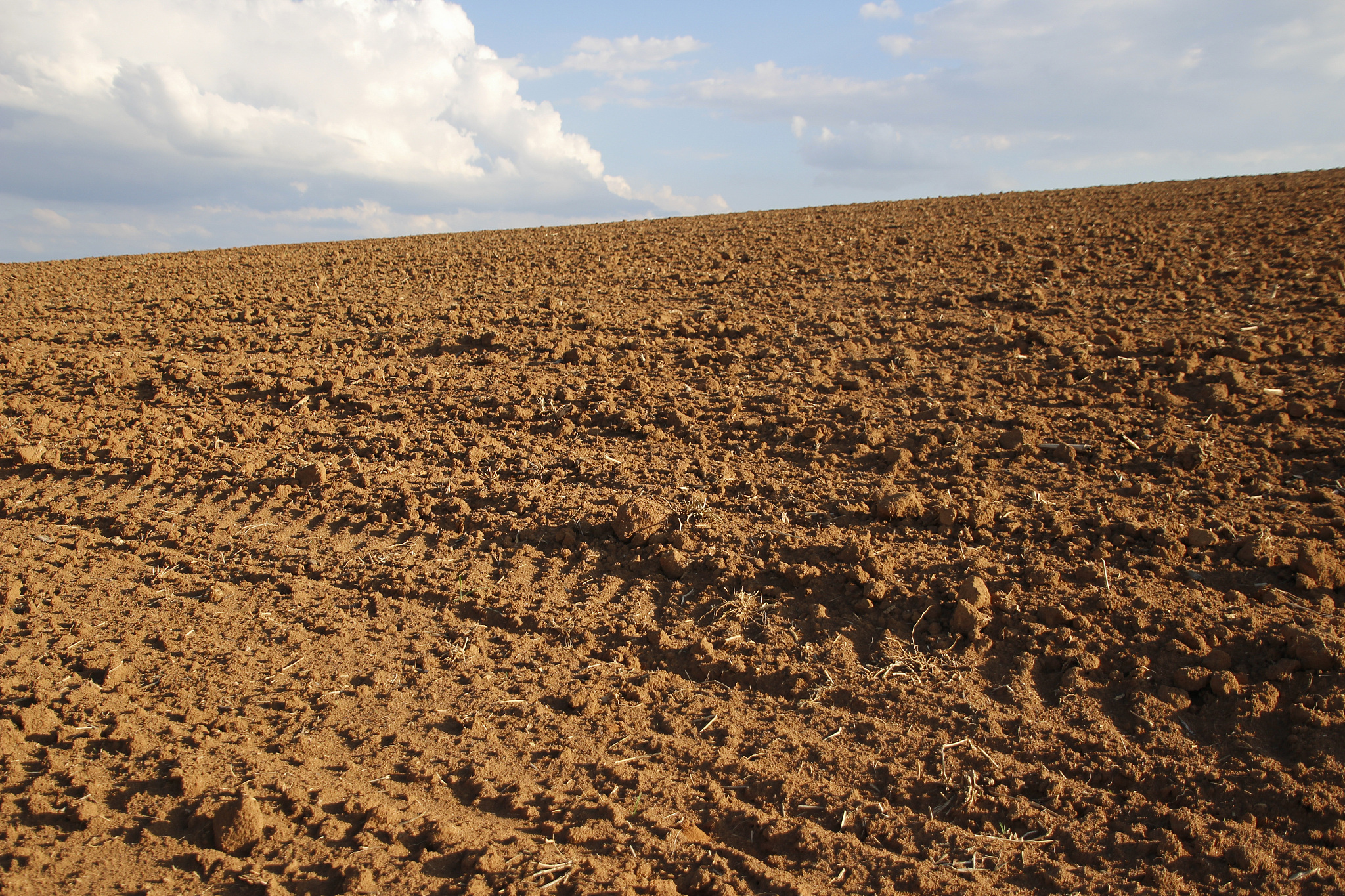 ground ready for planting