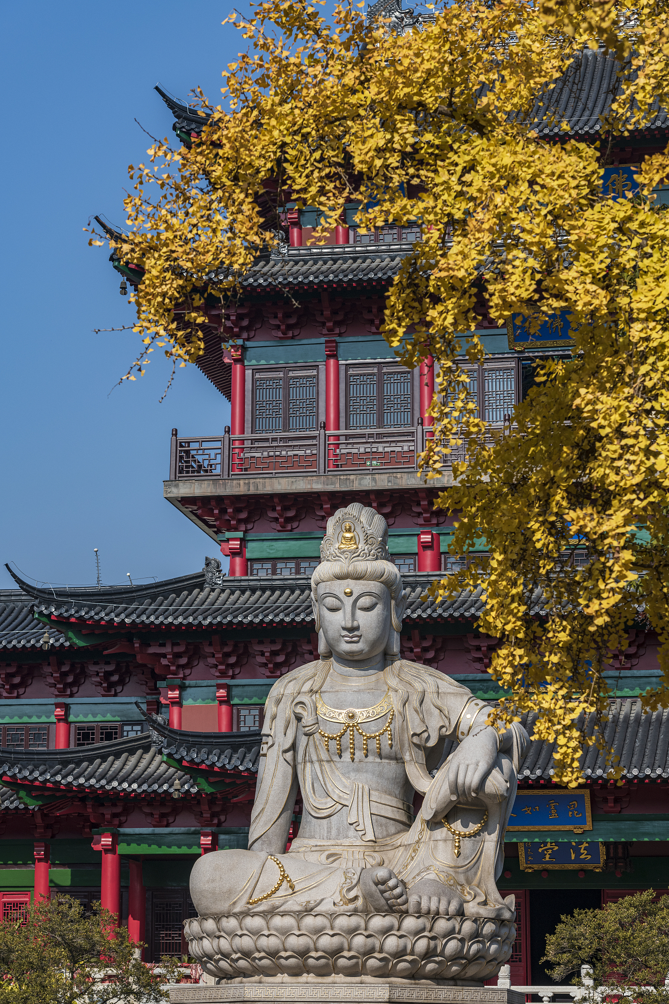 毗卢寺的秋天,江苏南京