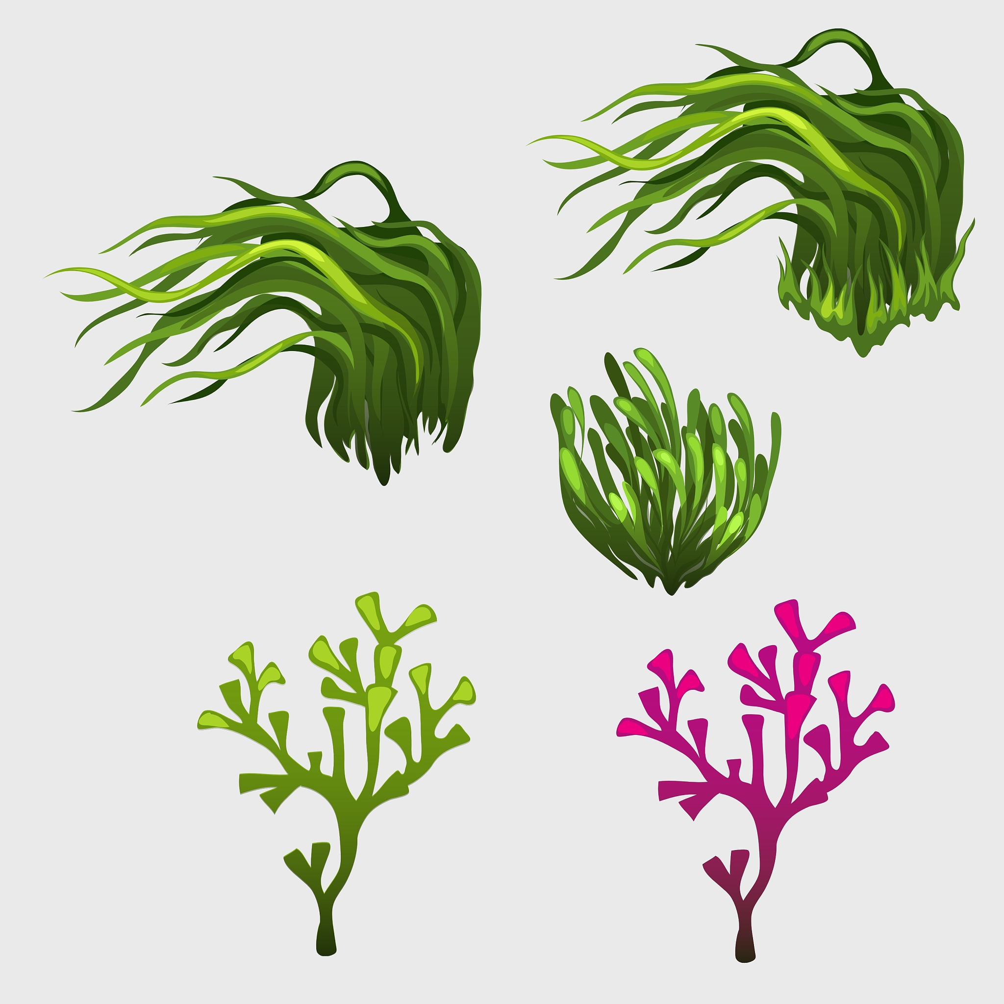 vegetable set with grass icons for your needs