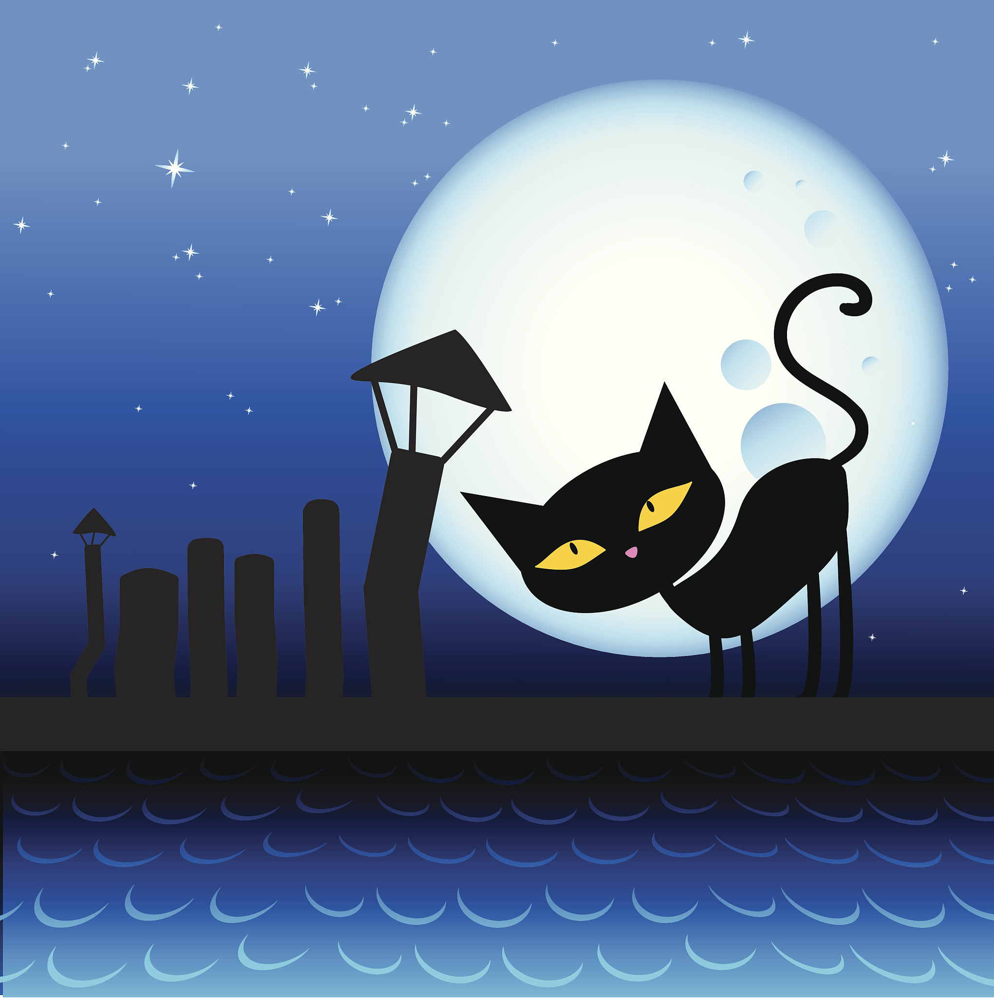 月夜黑猫是什么？月夜黑猫6月12发生了什么