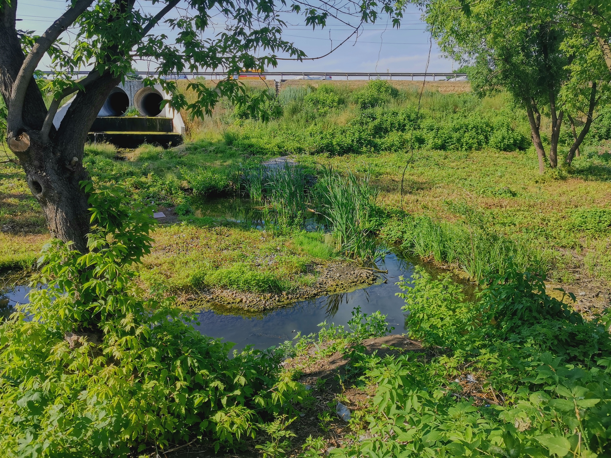 苏州市农田退水标准