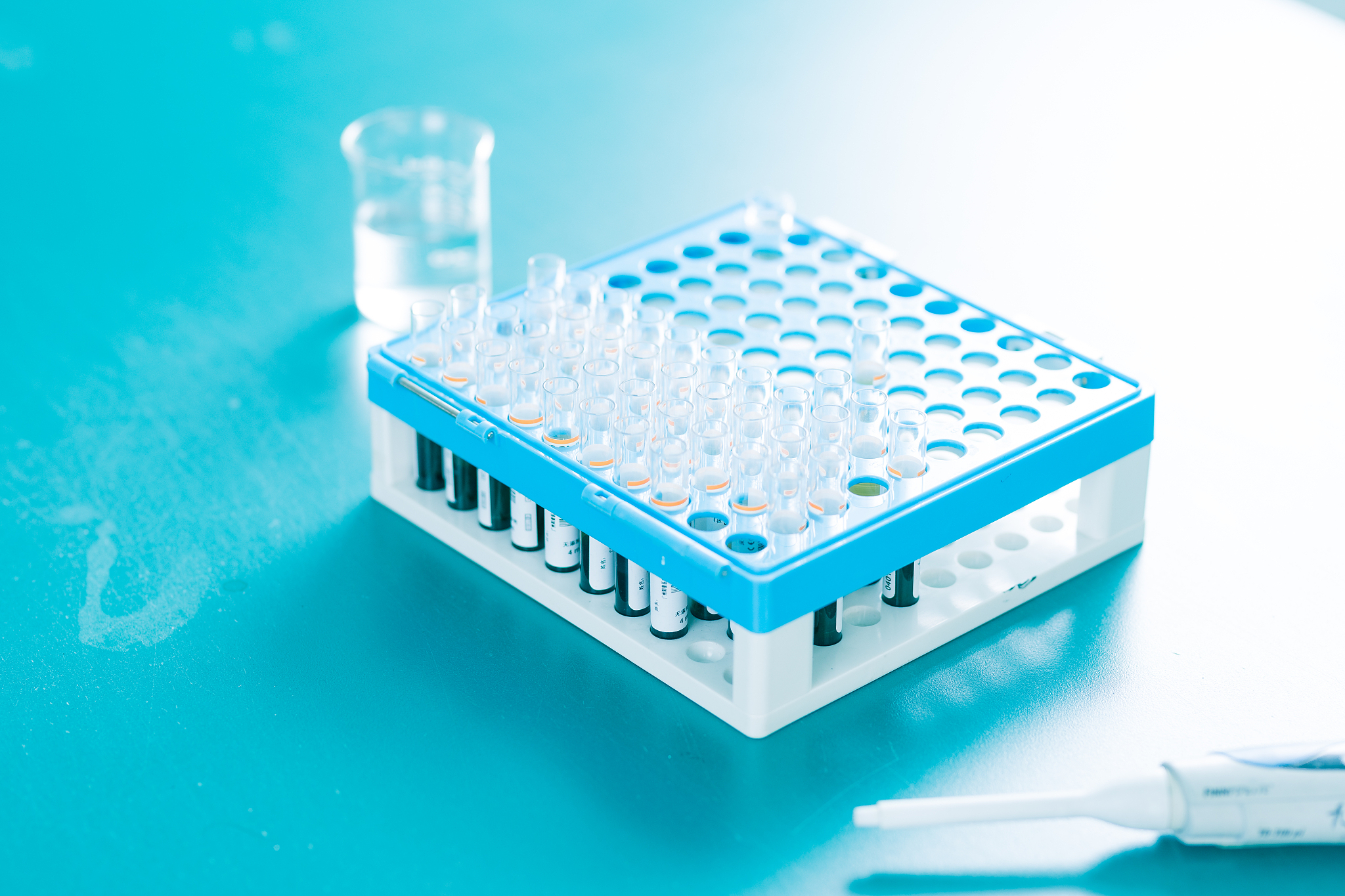 甘肃医药卫生财会专业大学有哪些？专业排名及就业前景分析