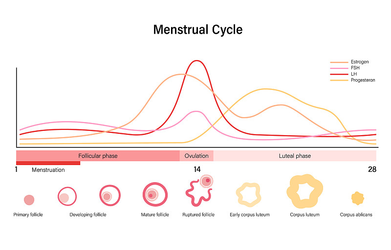 Seaborn Histplot: 血糖水平概率密度分布直方图可视化