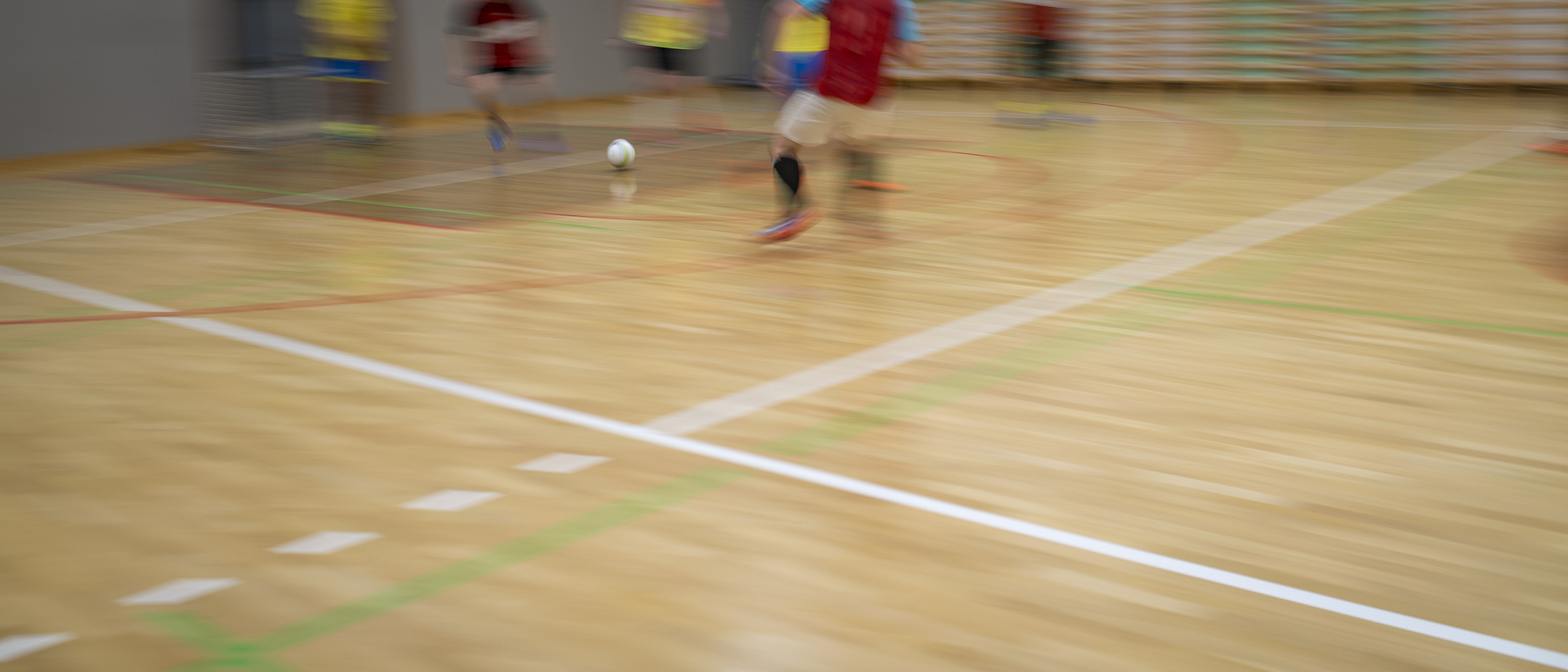 武汉市体育运动学校专业有哪些？附招生专业及报考指南