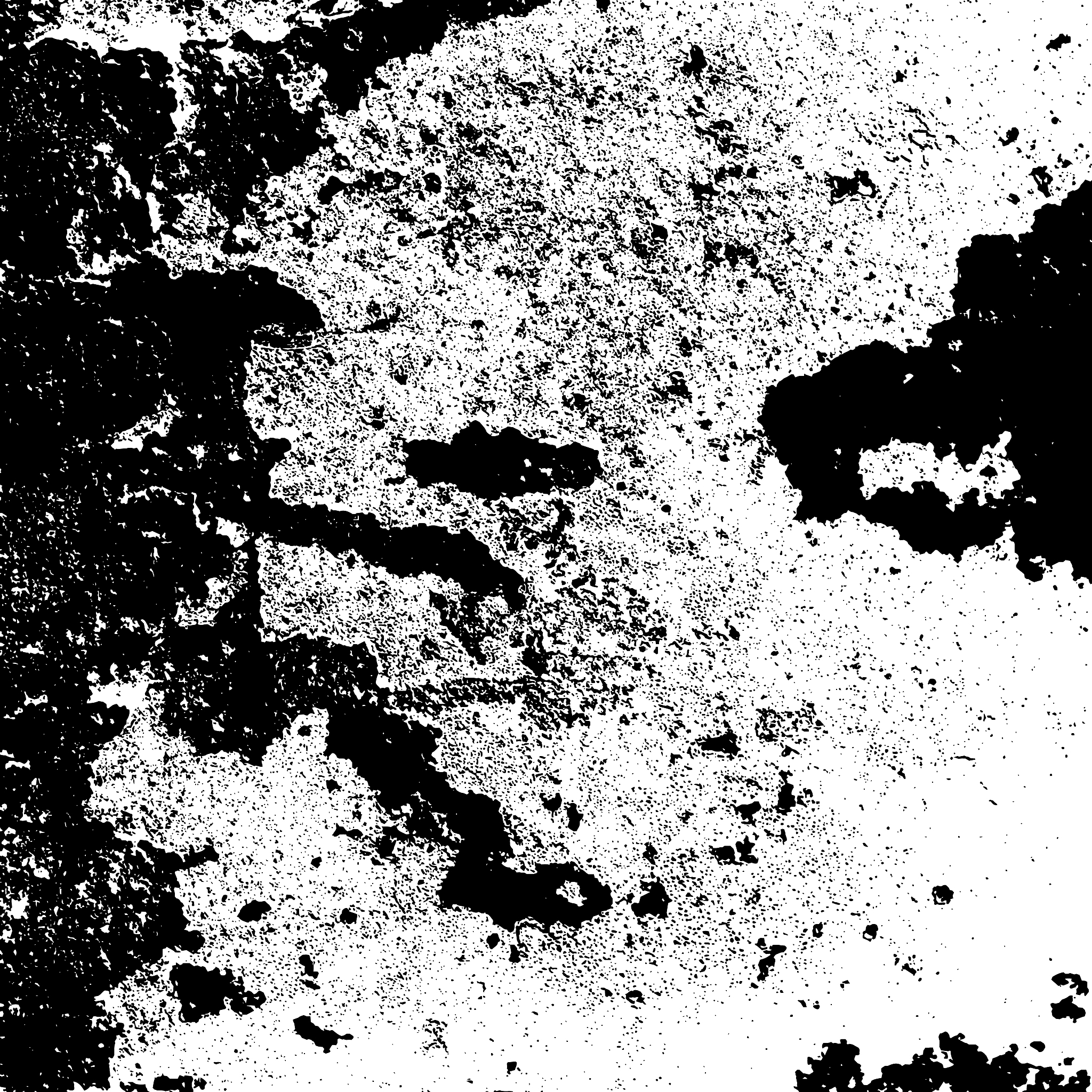 陈自成：明末清初农民起义领袖