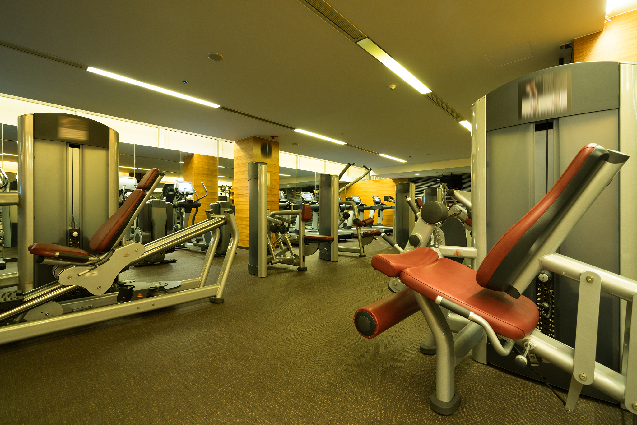 顽熊健身：高端健身品牌，释放你的无限潜能