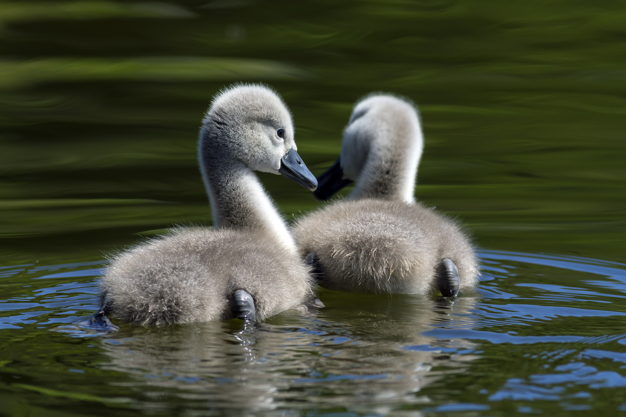 层次分析法结合模糊综合评价法对高校教学质量进行评价写一篇论文5000字数以上