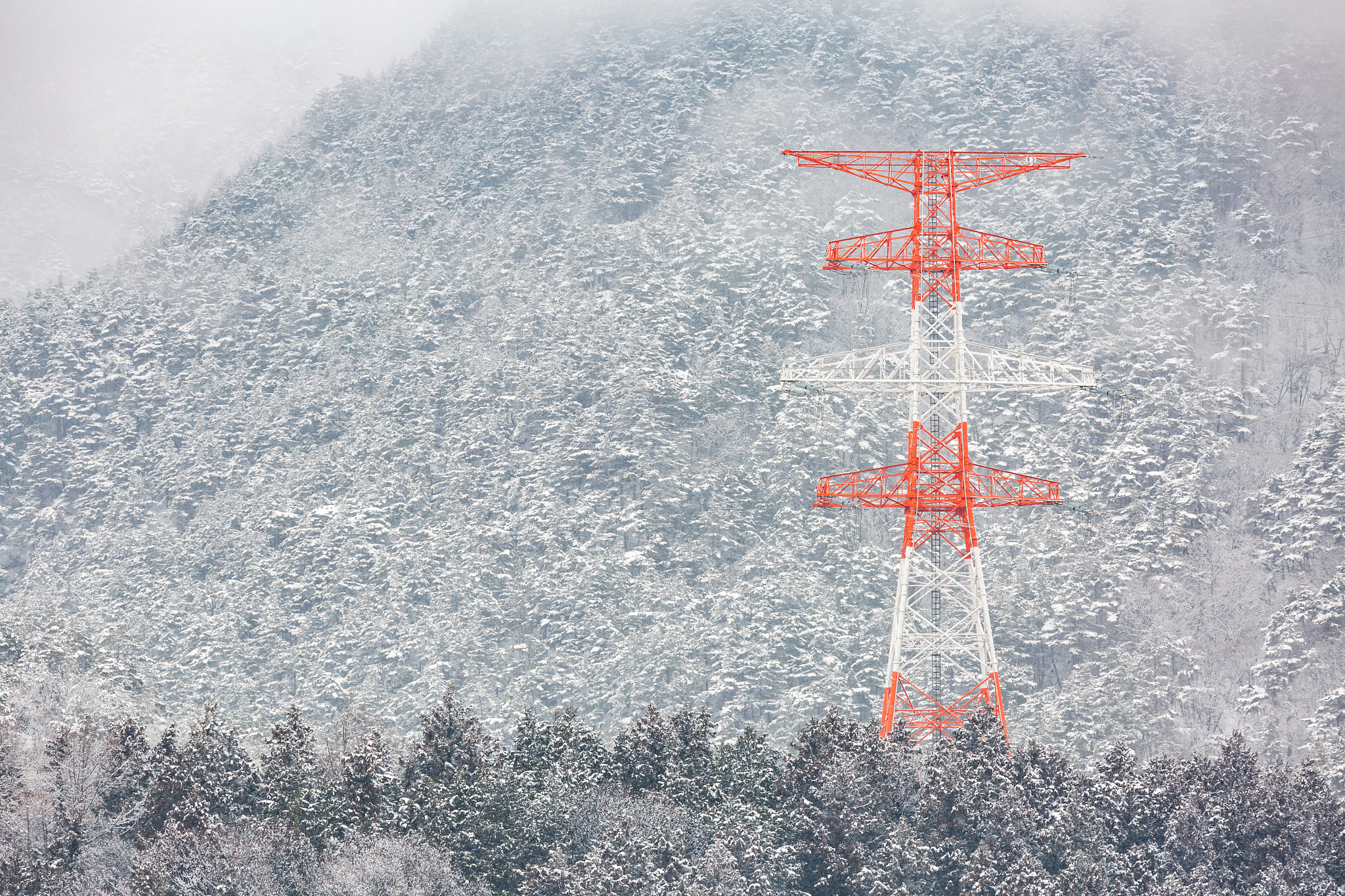 杆,冬天,电,地形,<strong>世界</strong>遗产,公园,松树,本州岛中部地区,户外,长野城