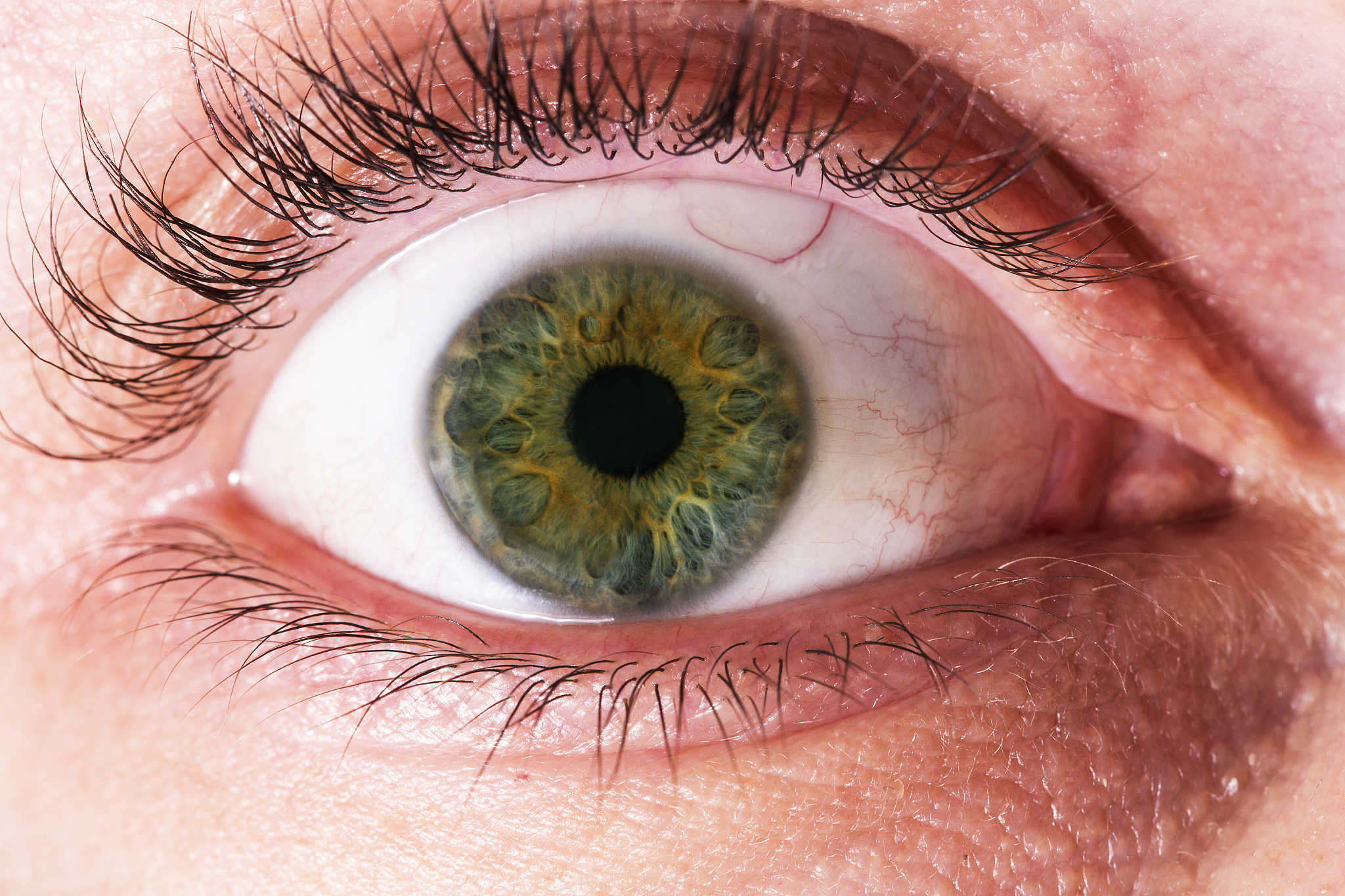 close up of human eye