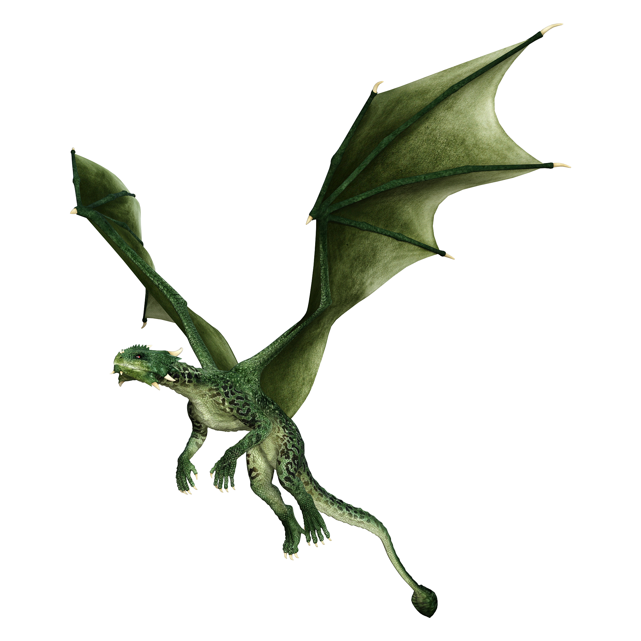 3d illustration fantasy dragon on white