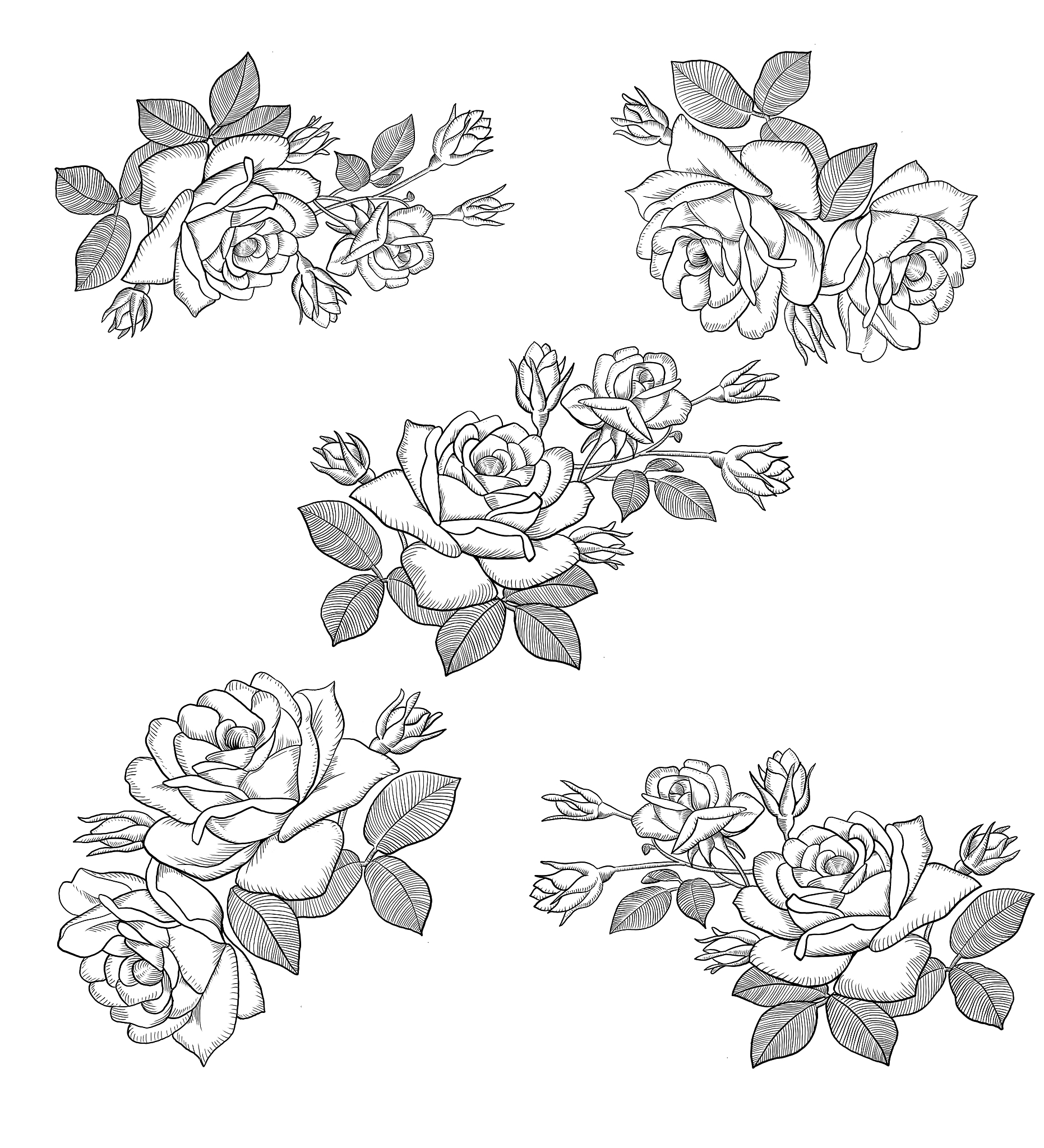 如何画一朵花：简单步骤指南