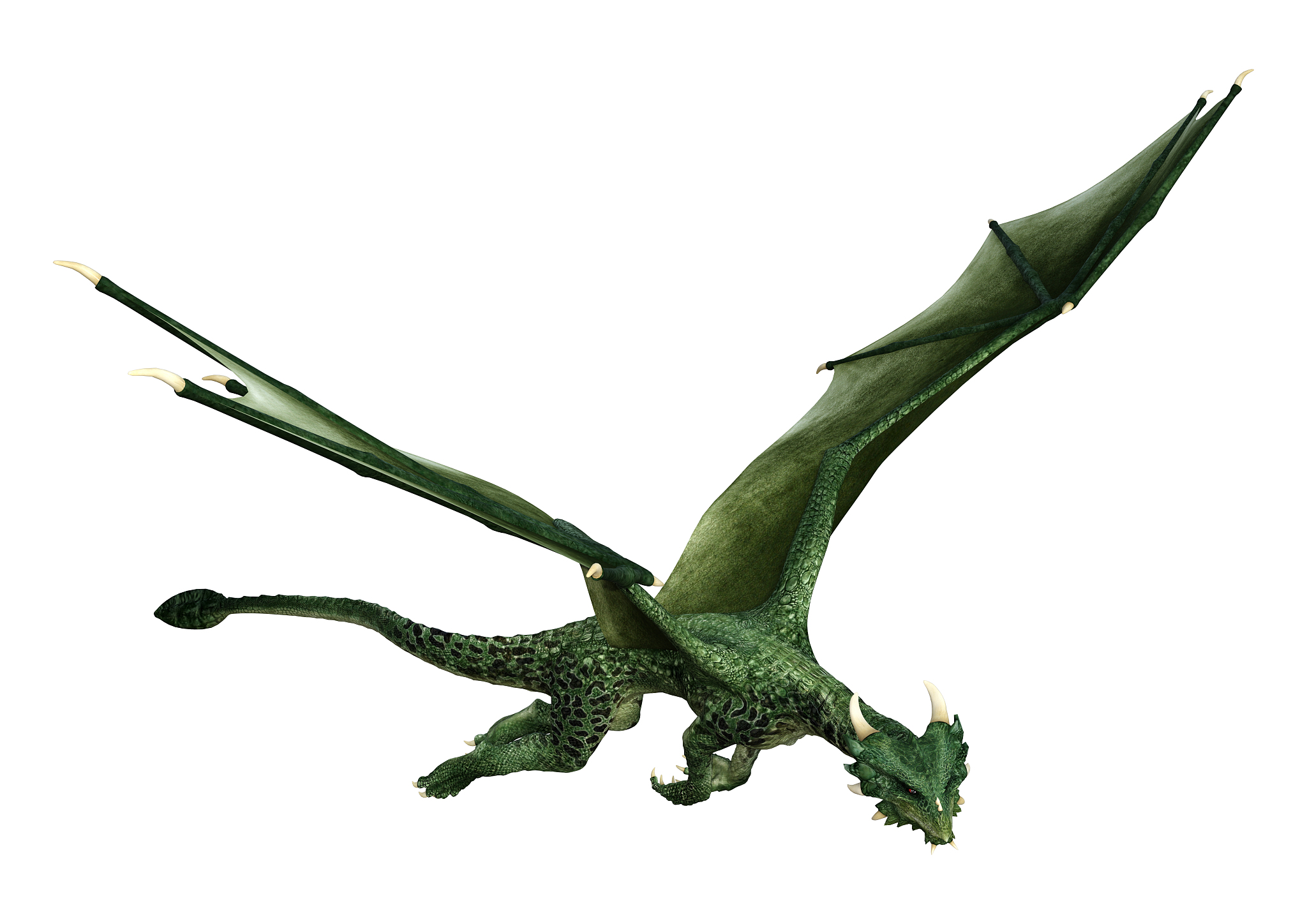 3d illustration fantasy dragon on white