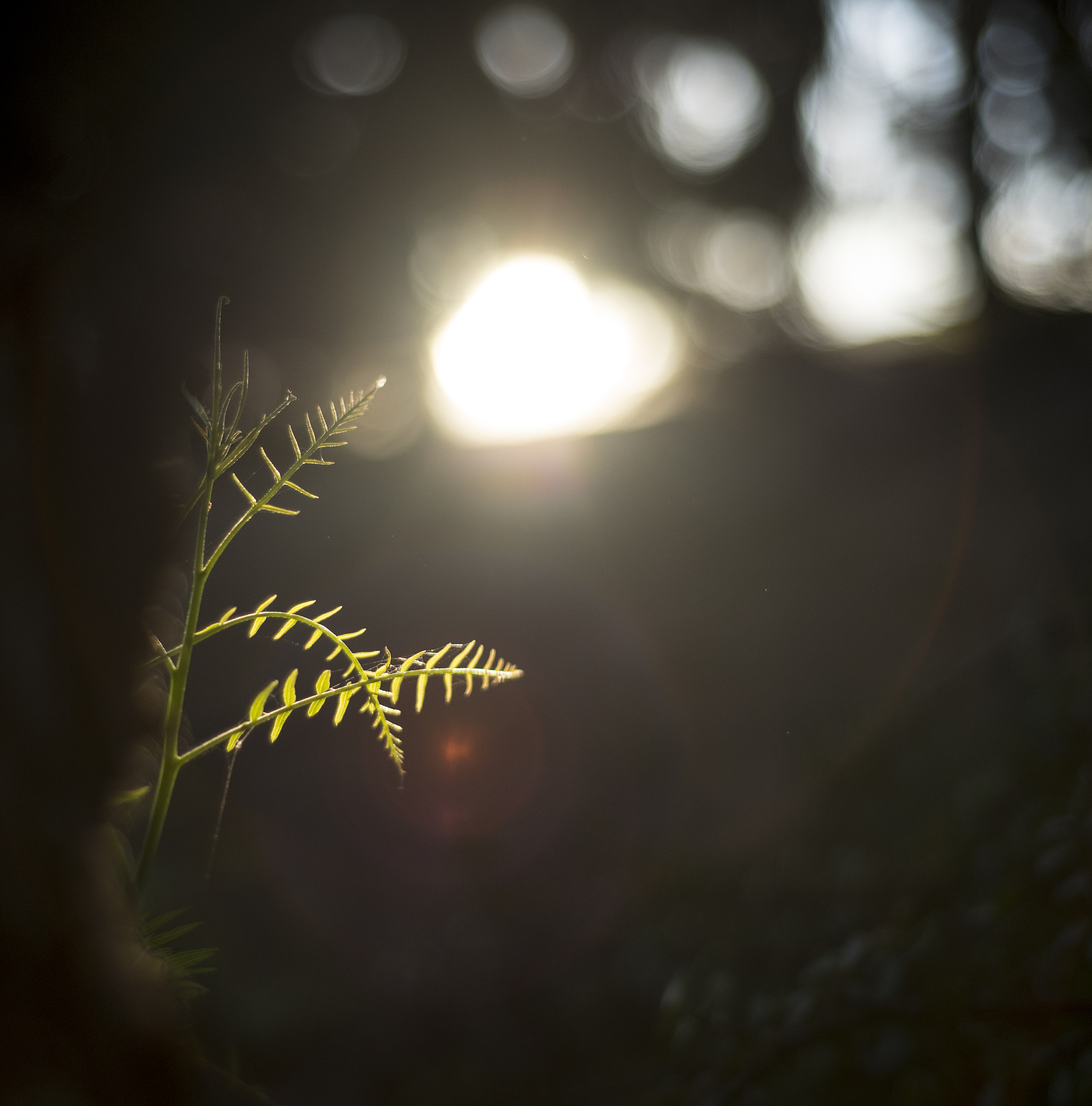 黑与白，对与错，谁又能说清？ | 人生感悟与夜色沉思