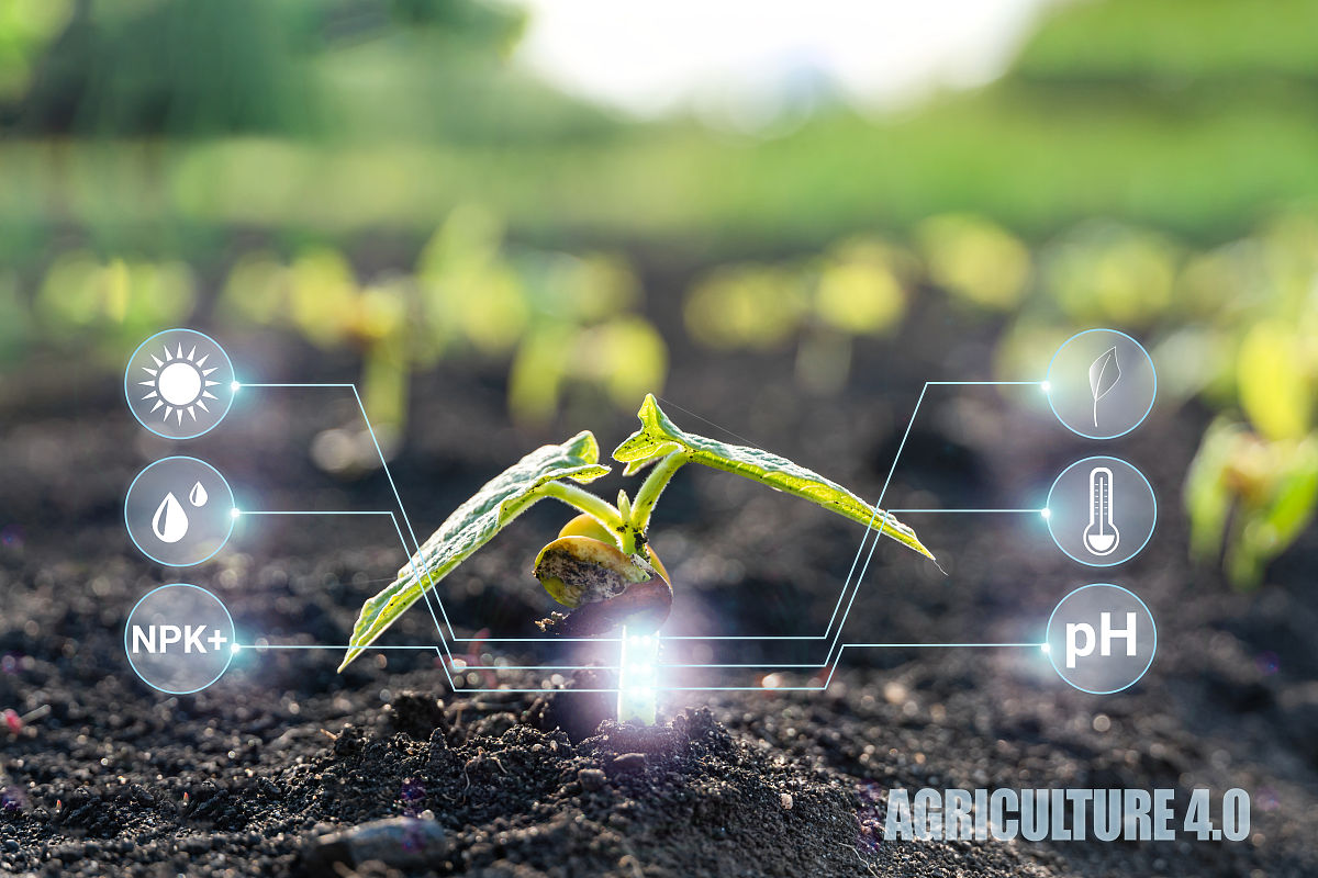 曲靖市农业技术学校2019年五年制普通专科招生简章