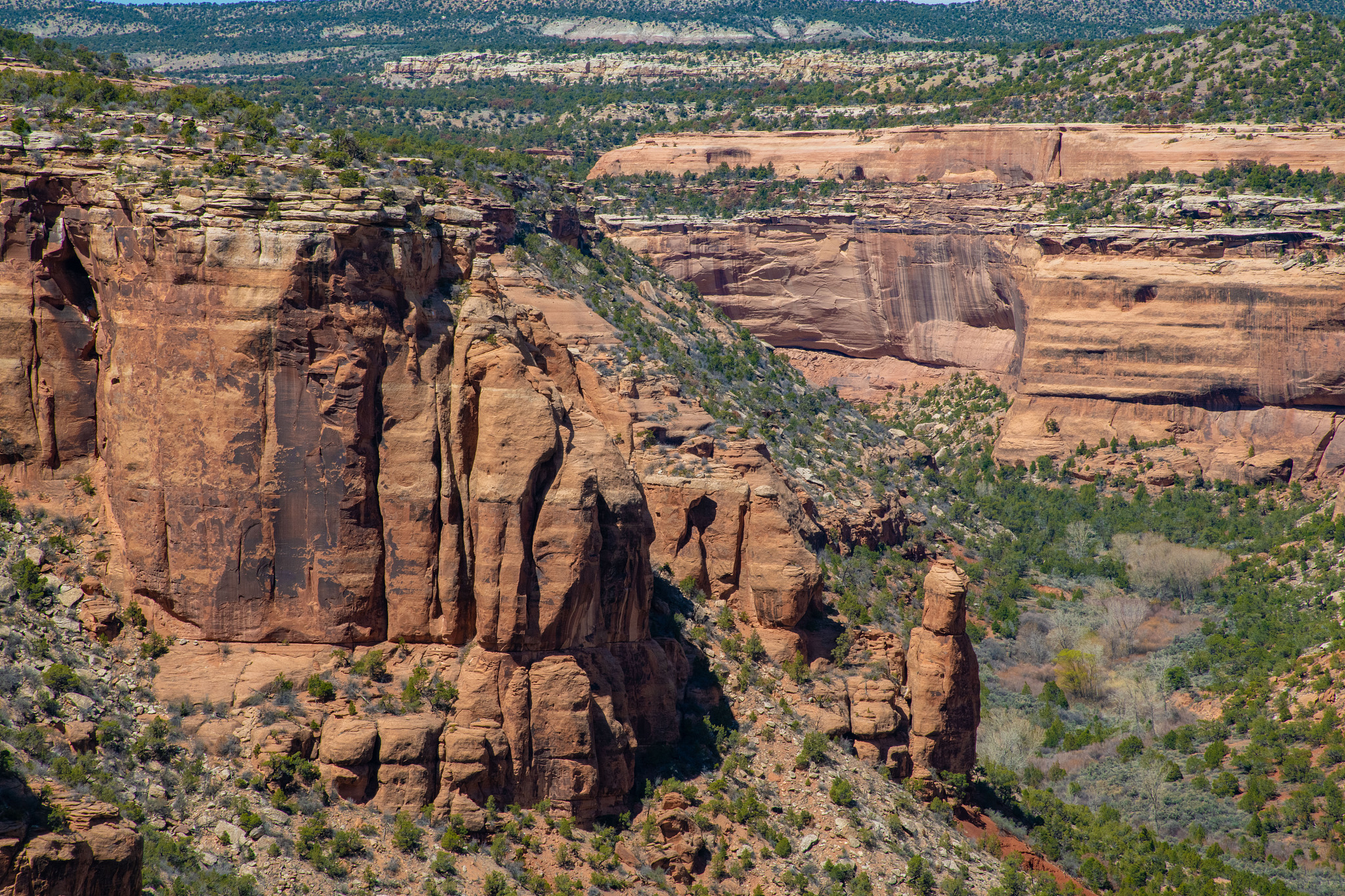 写一篇关于地质实习的日志