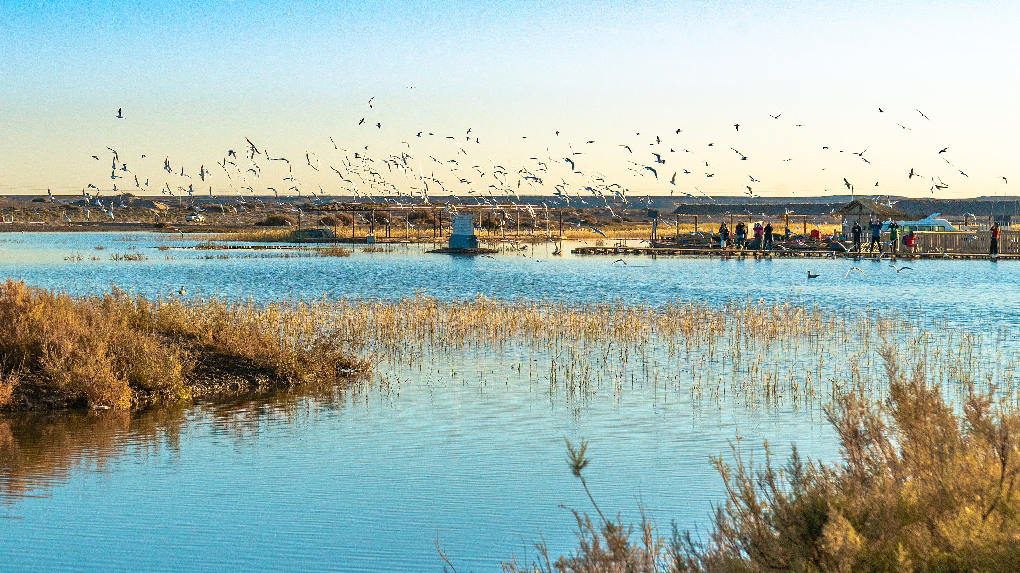 崇明东滩鸟类国家级自然保护区：社会效益优化规划设计方案