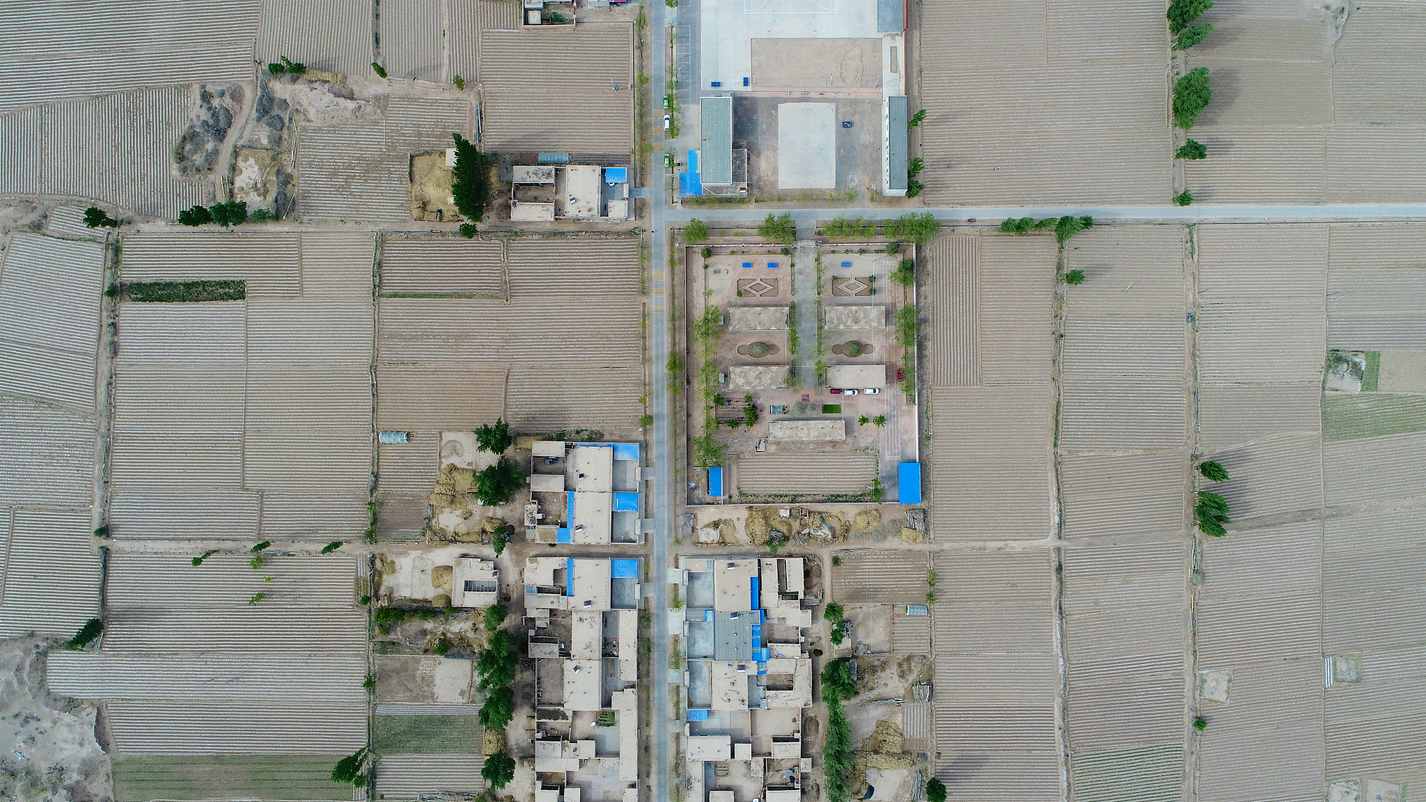 甘肃开设有畜禽养殖专业的学校有哪些