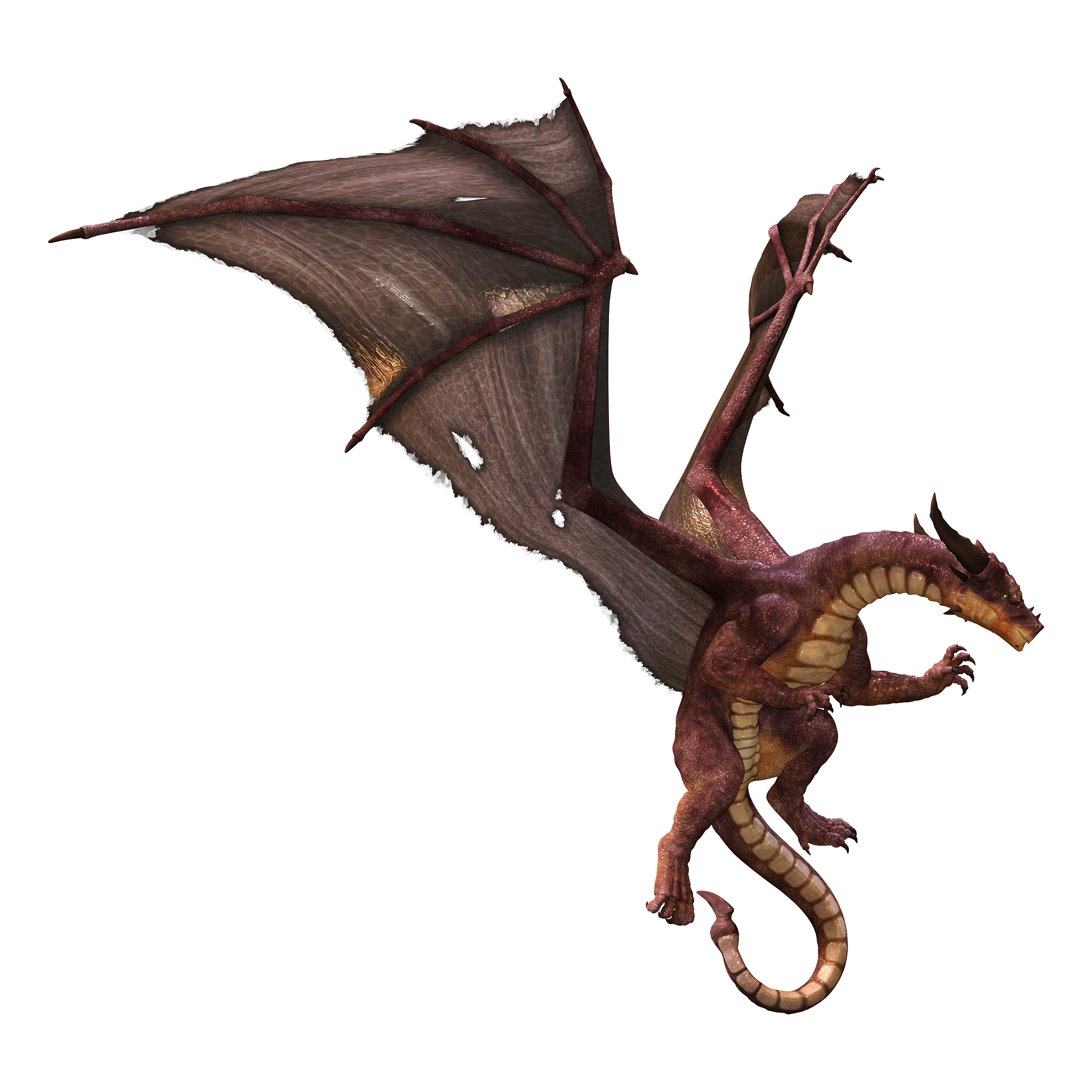 3d illustration fantasy dragon on white
