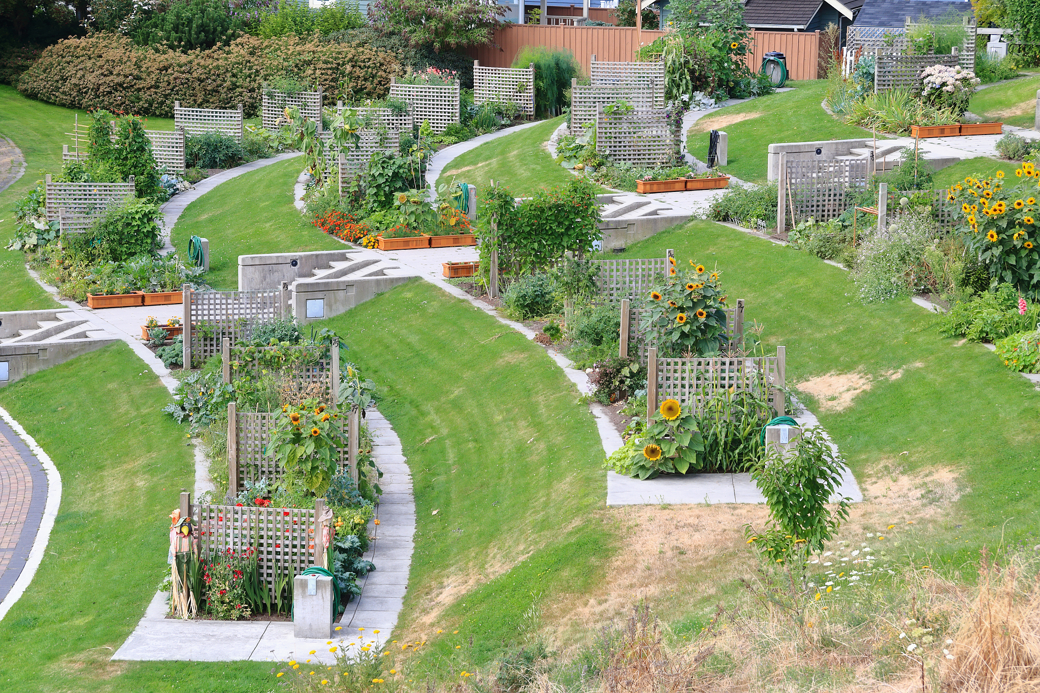 在美国，都市农场、社区花园、商业花园允许在城市的大部分区域经营吗？