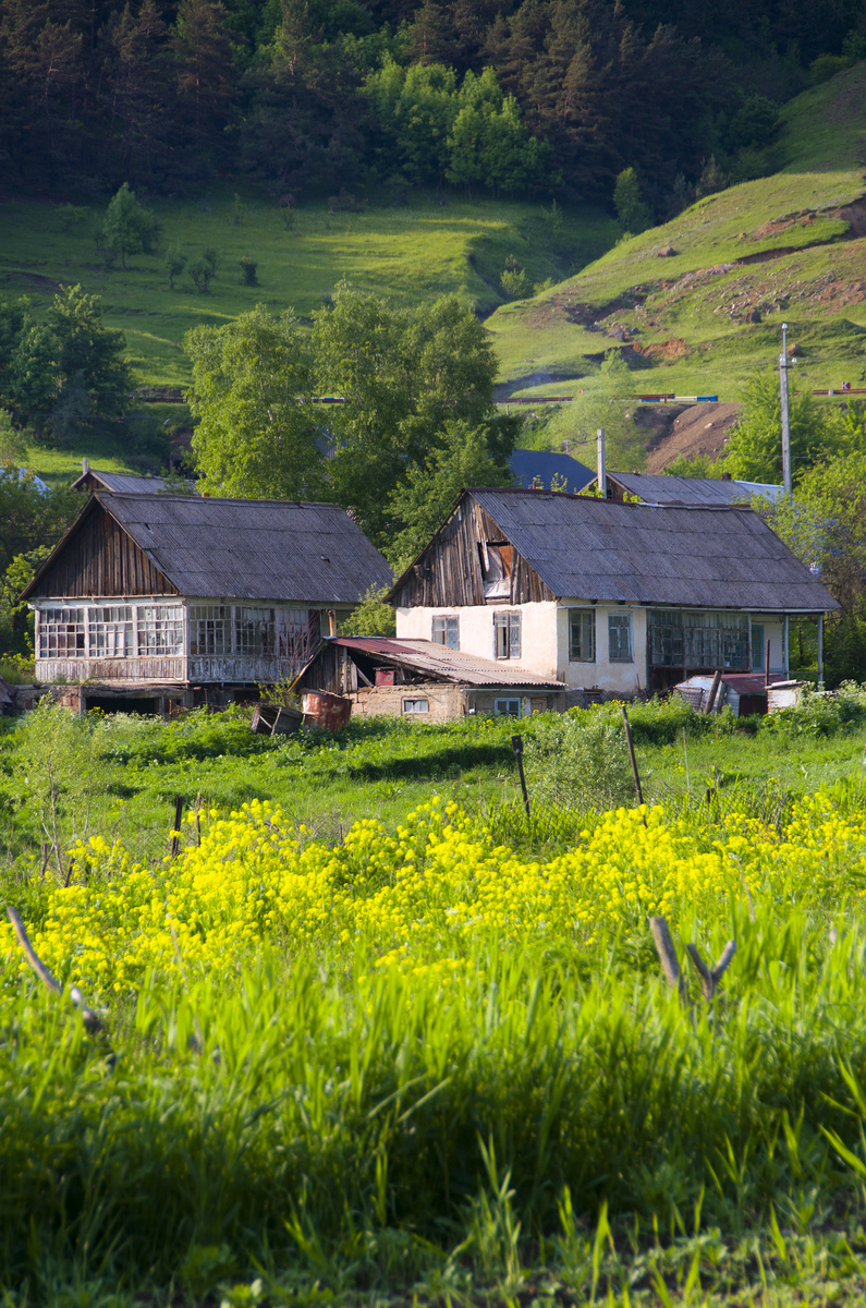 向往田园生活？农村的这些美好，你向往吗？