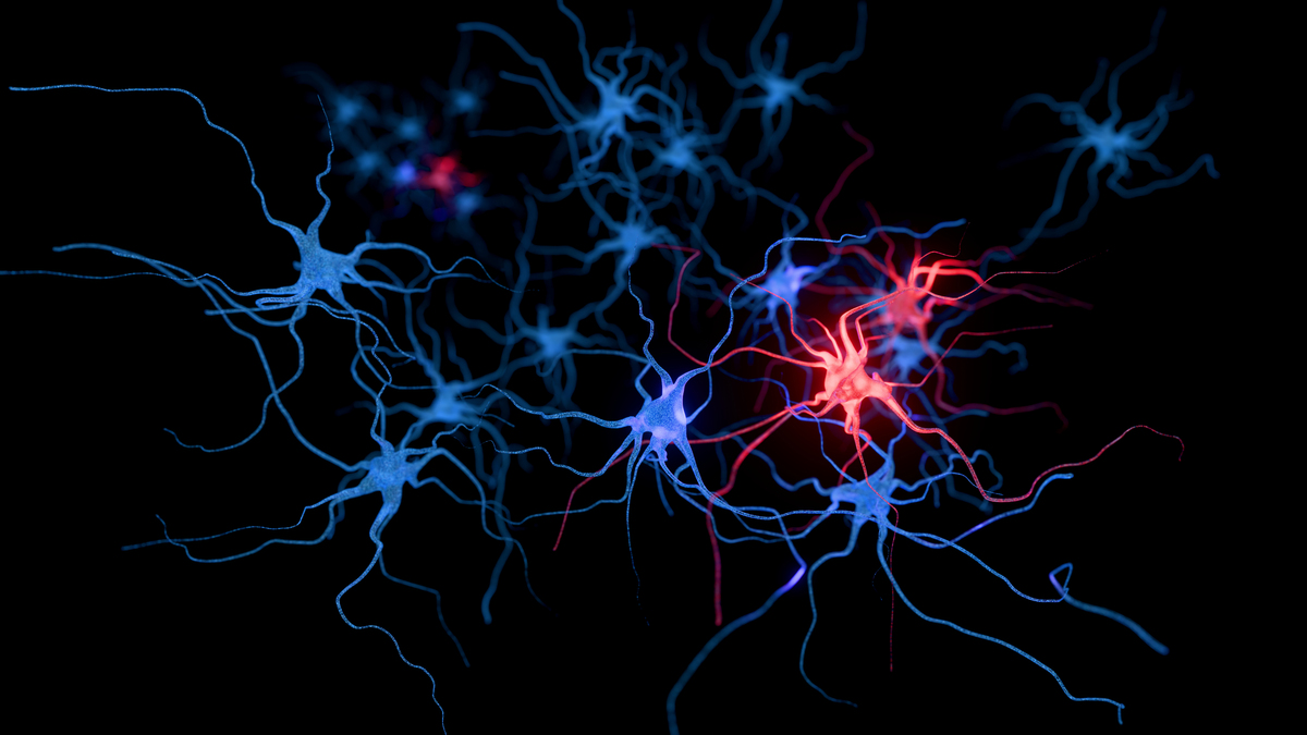 不改变原意使其更有逻辑改写：The deep convolution neural network has outstanding ability in image feature extraction and learning especially in the field of medical image processing 3 The combination of deep learnin
