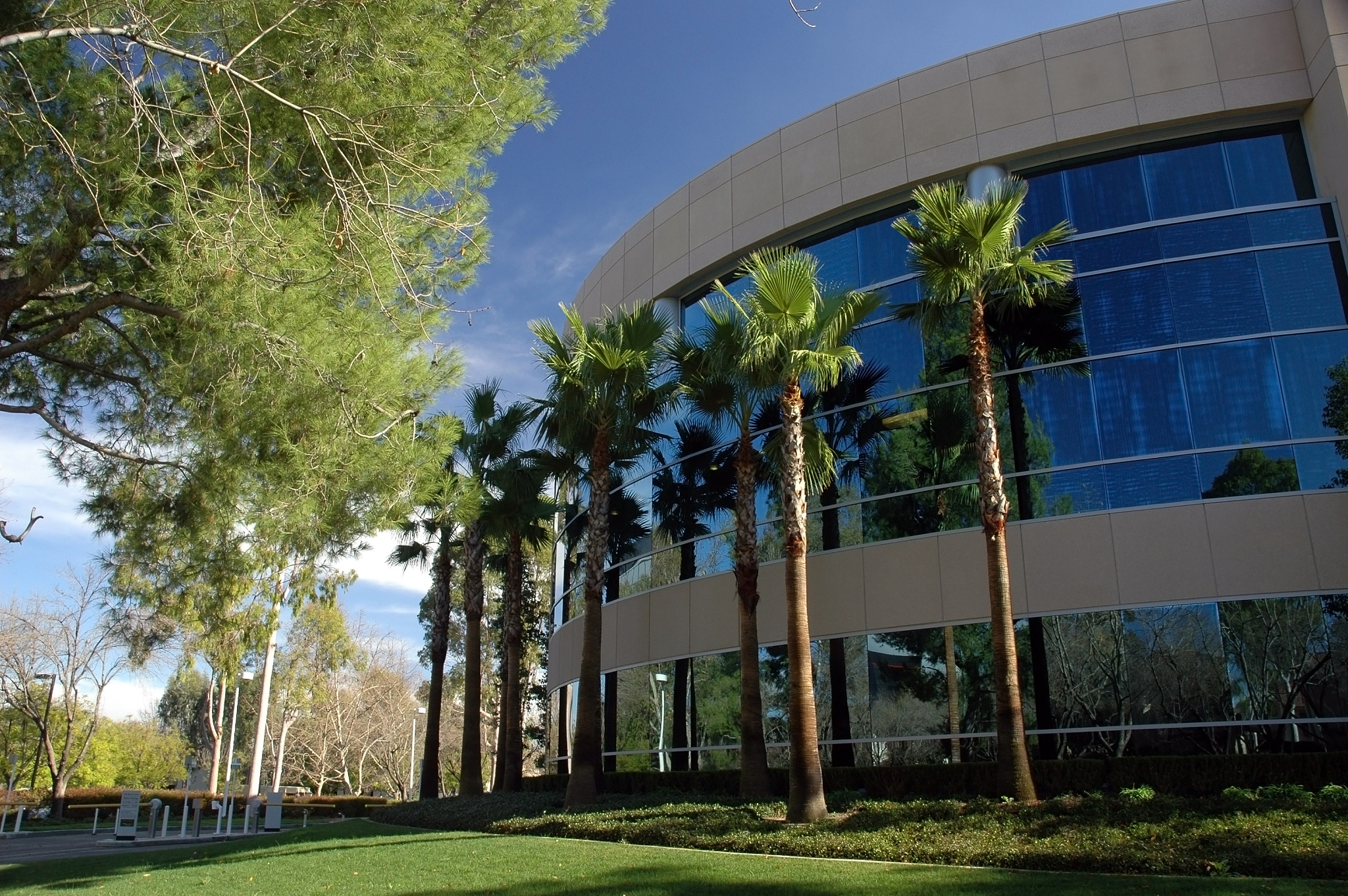 building with palm trees