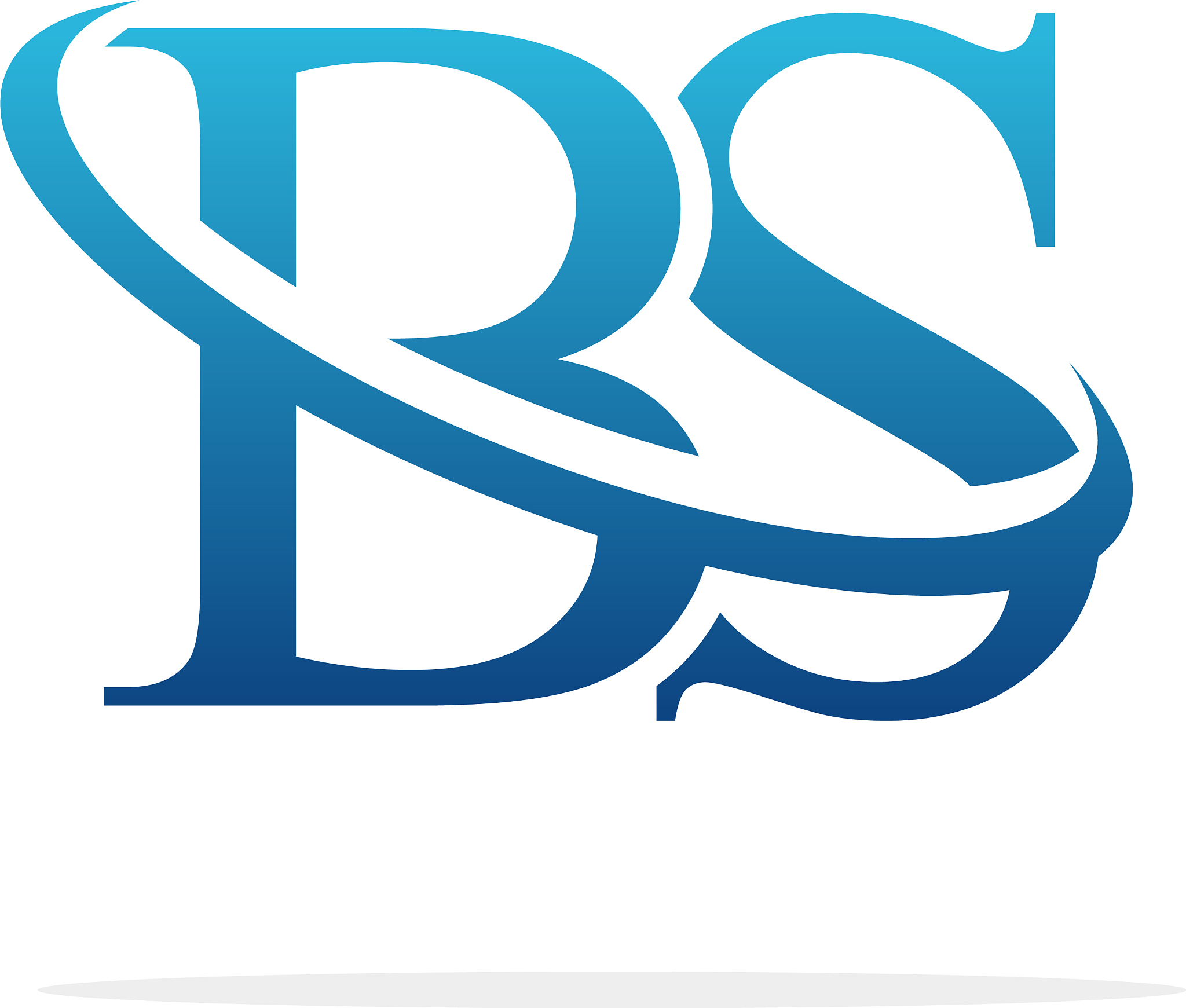bs logo art icon design image