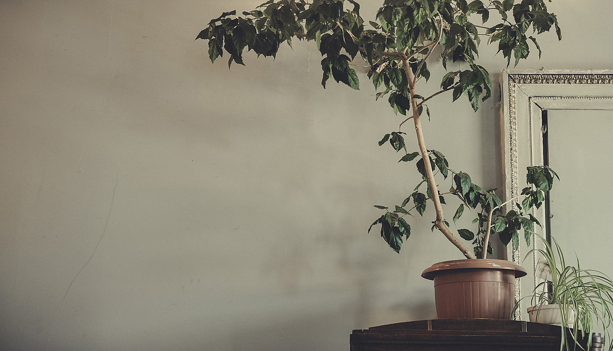 东方美学传统观念：从自然美到神秘美