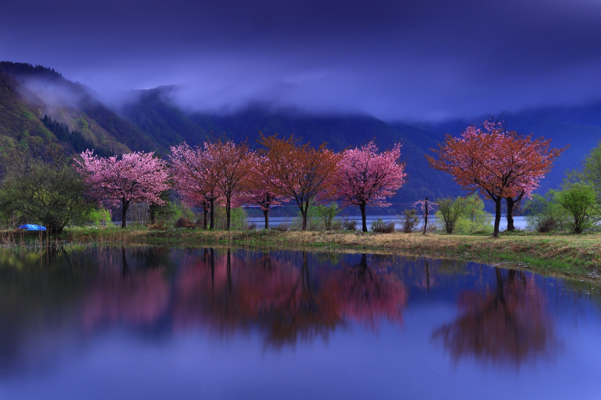 电脑壁纸：丰富你的桌面，提升个性化 - 最佳壁纸网站推荐