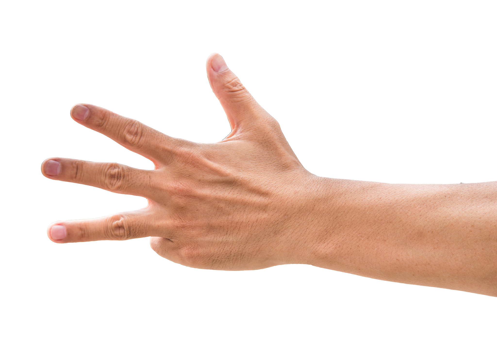 human hand gesture