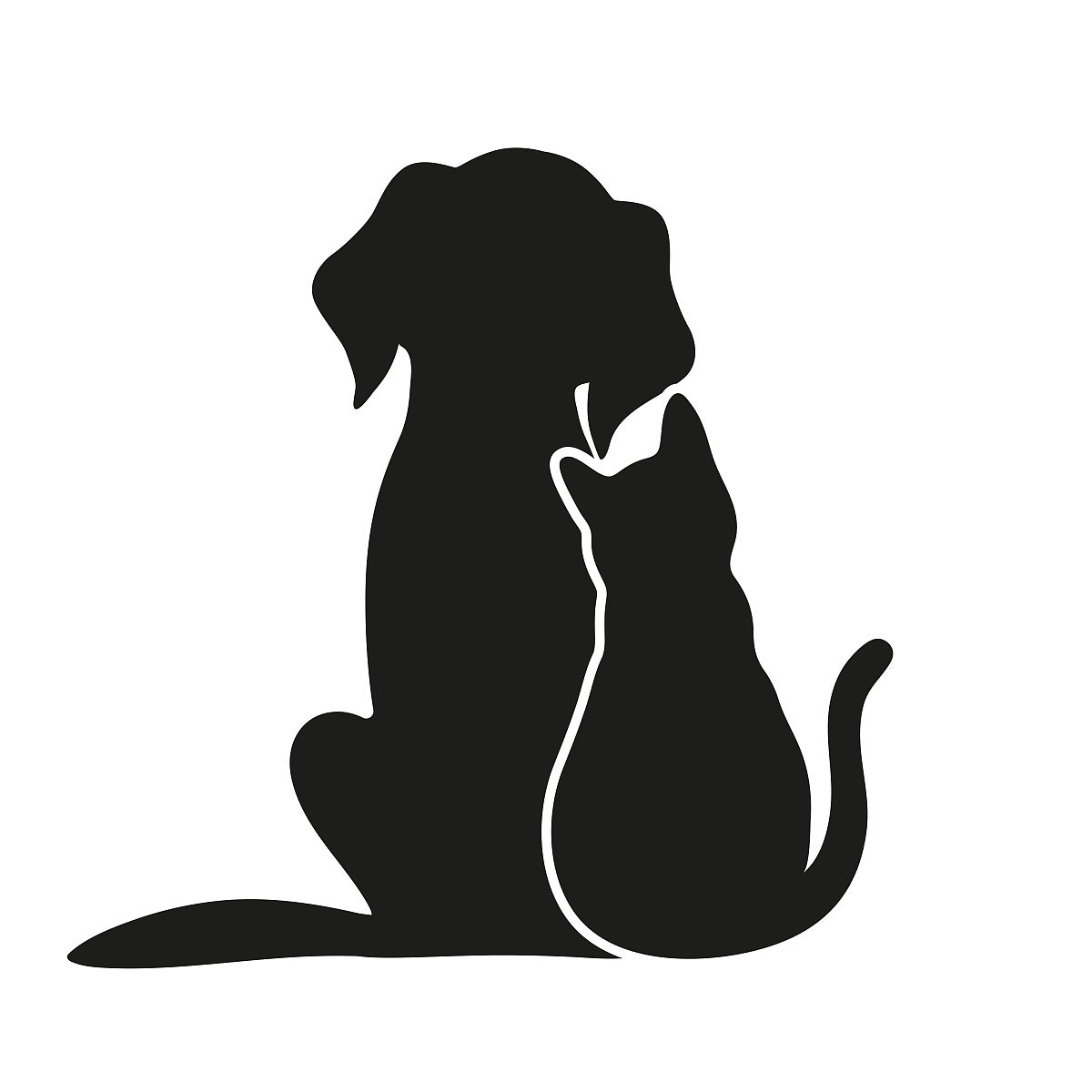 捡狗富捡猫穷？真相大揭秘！