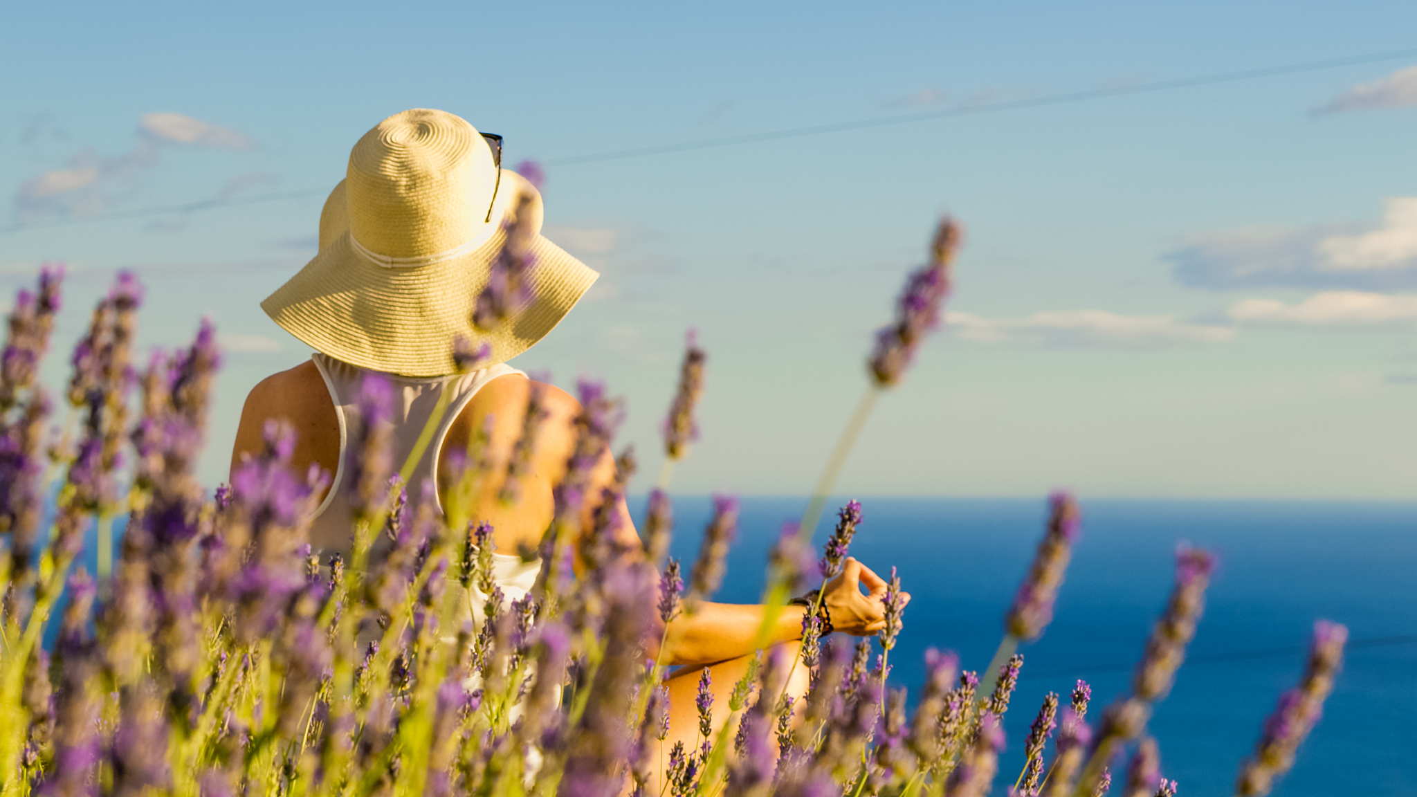 英山草盘职业中学2023年需要满足什么招生条件 怎么样