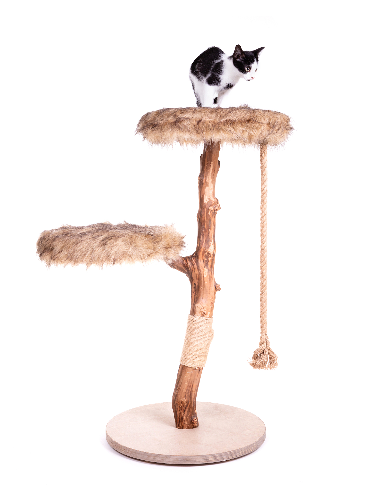 荷叶仿生猫爬架设计说明：为猫打造舒适有趣的活动空间