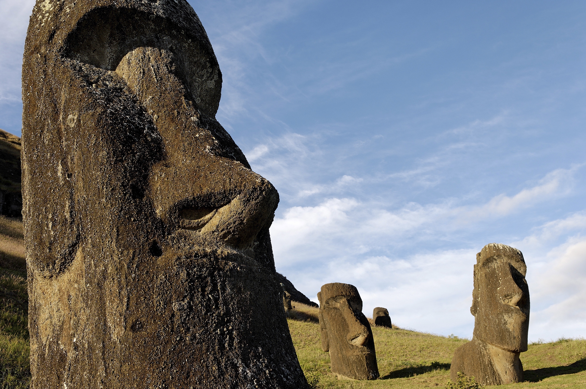 moai in the rano raraku volcanic crater formed of consolidated a