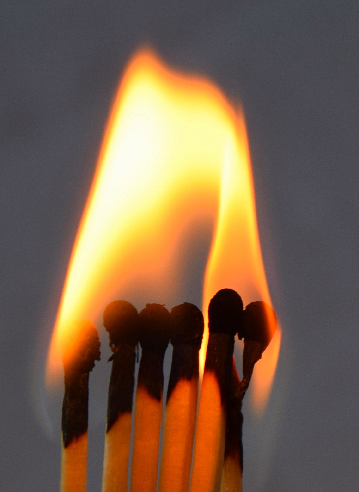 在野外怎么生火？