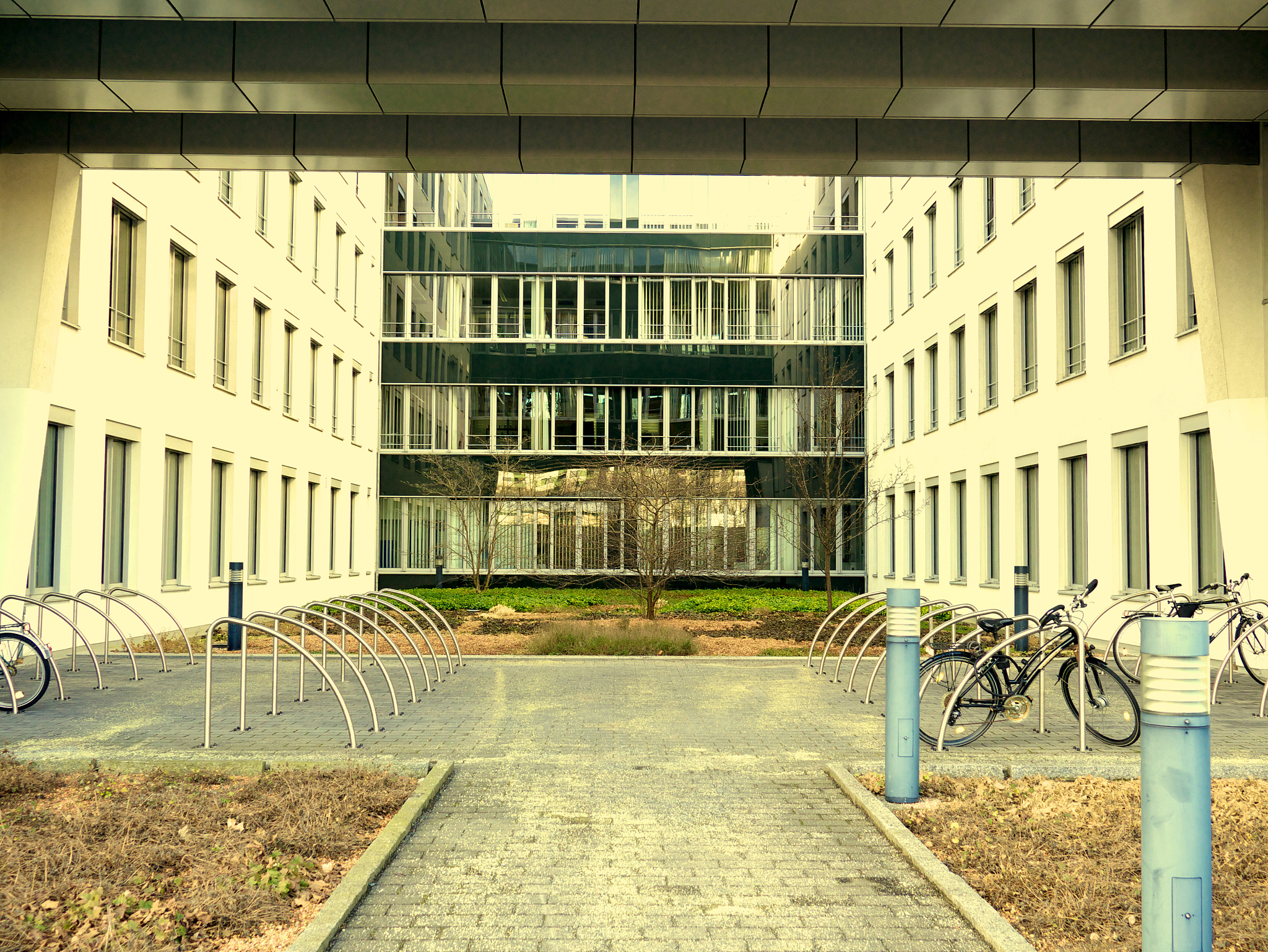 modern building