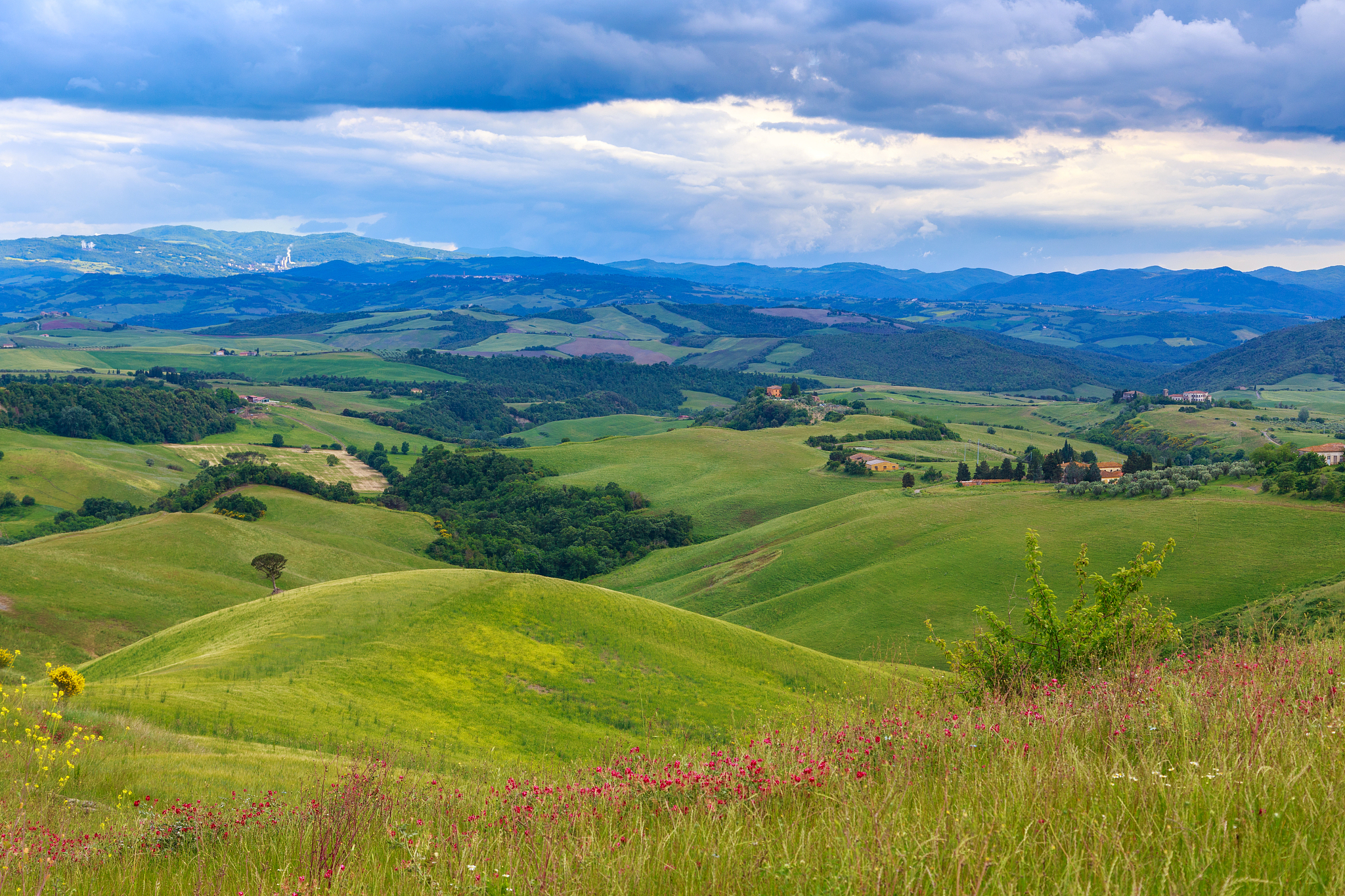 tuscan landscape, fields and meadows near volterra