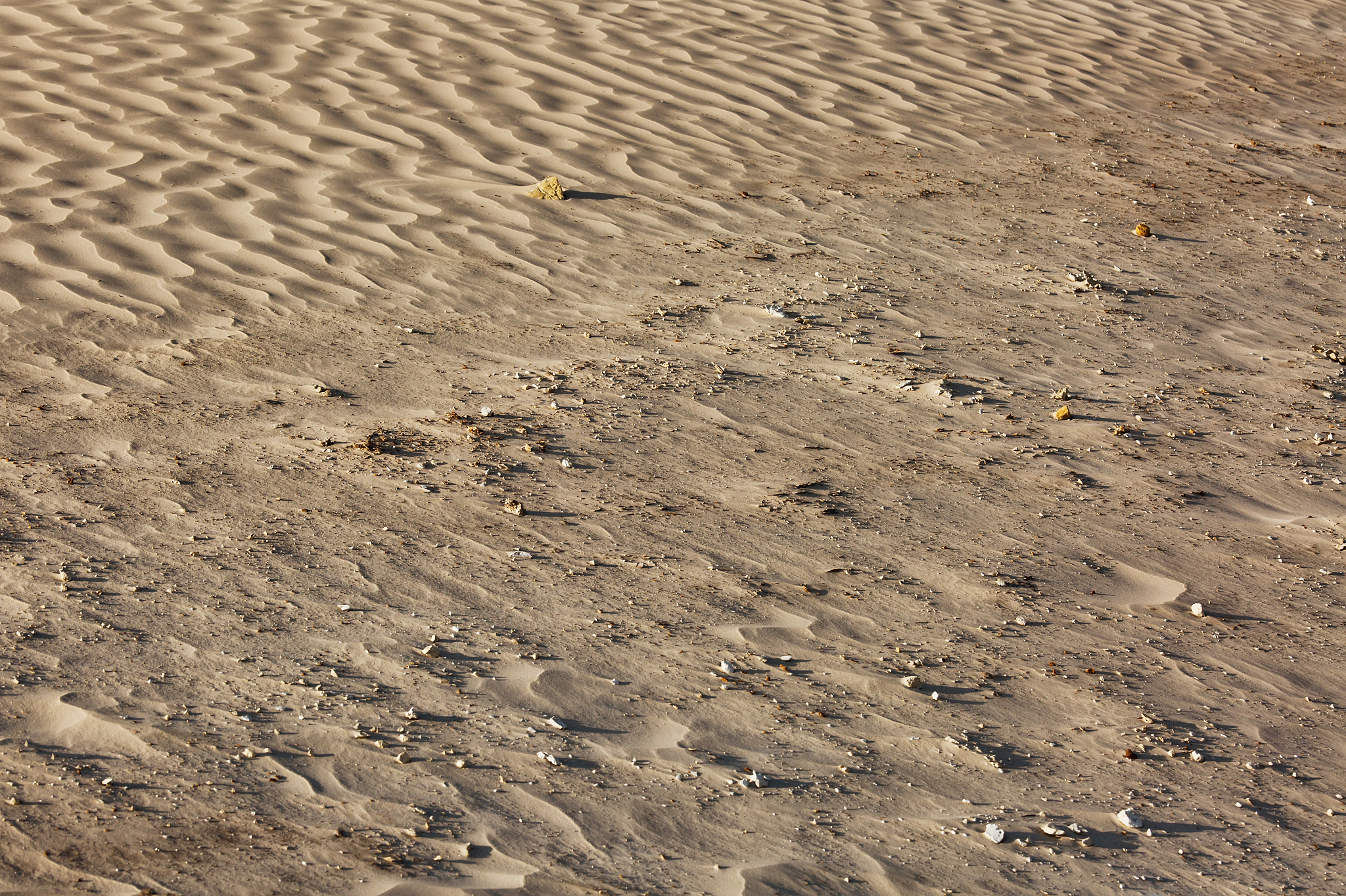 sand pattern, natural outdoor background