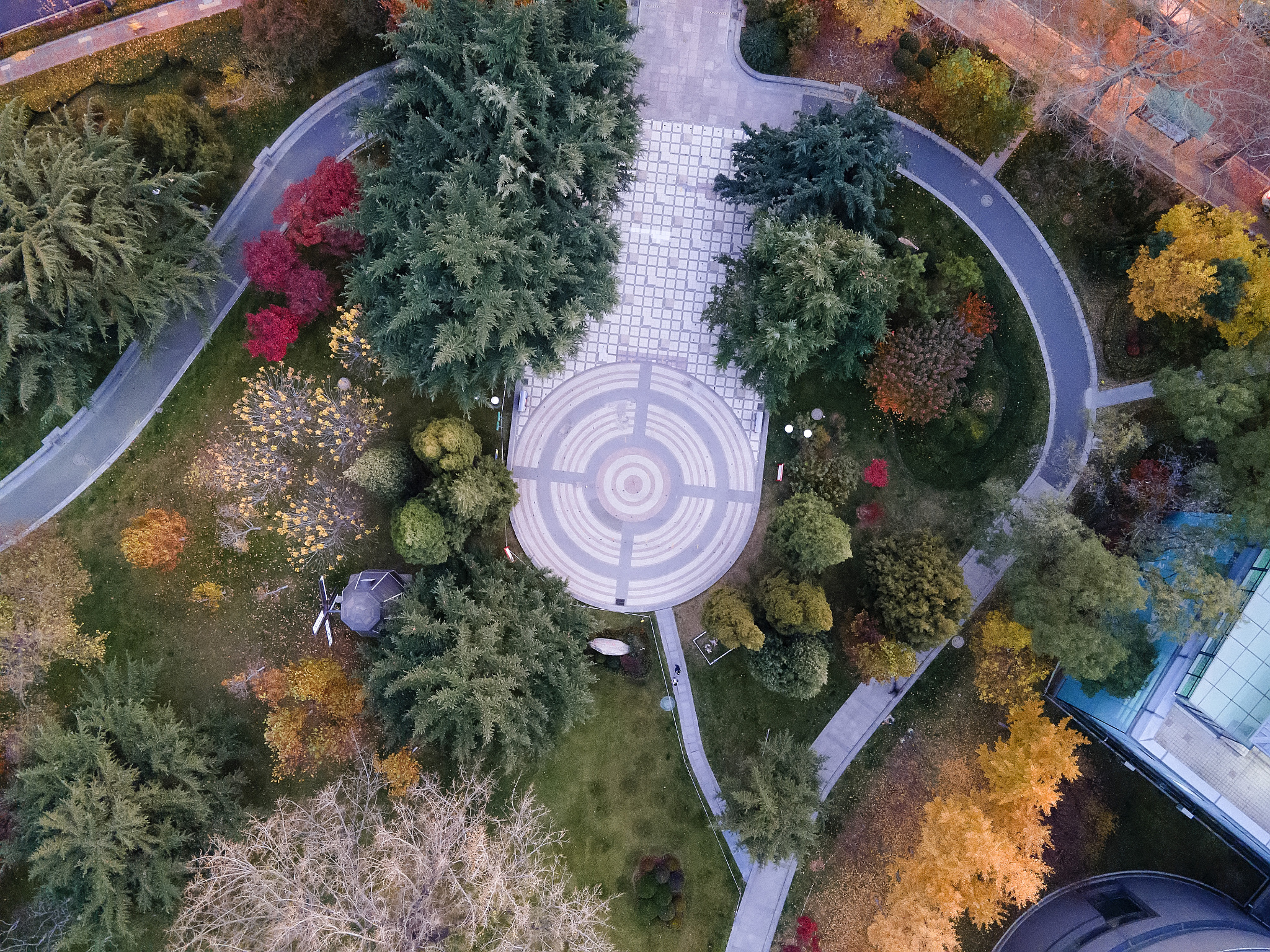 给我一份公园Vlog拍摄剧本