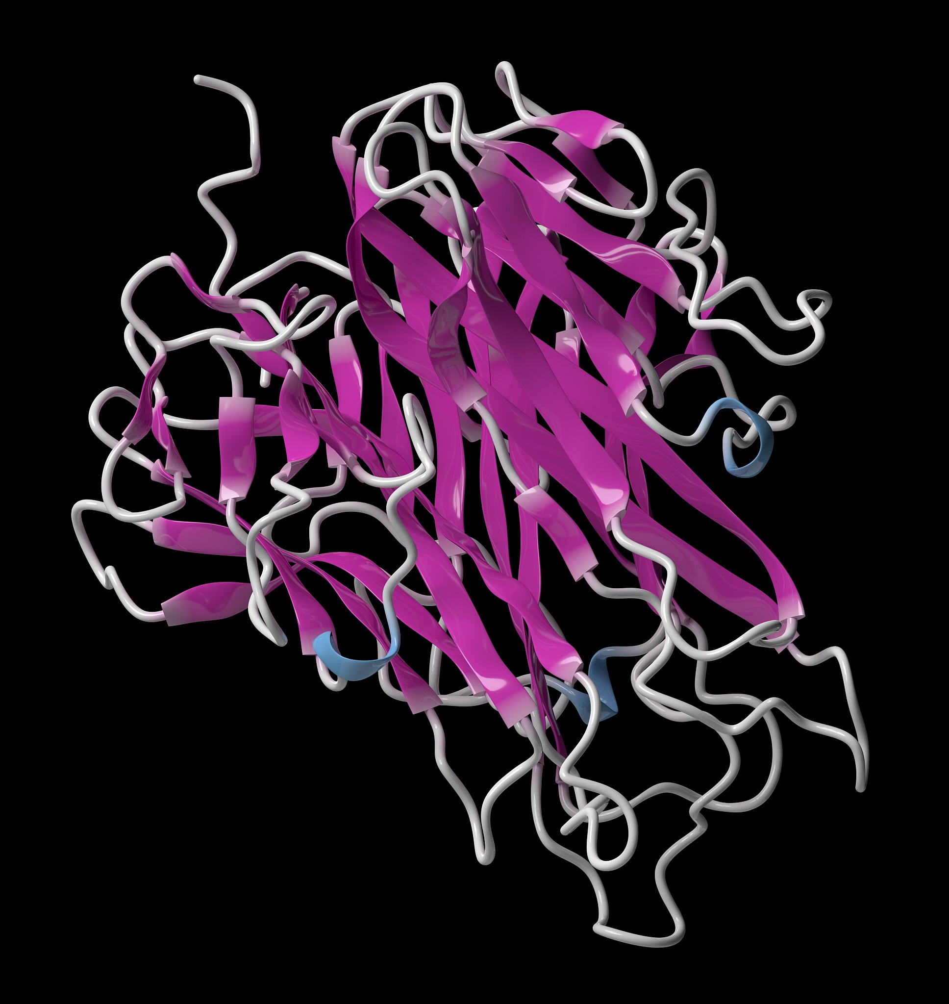 Which harmful cytokines can be released by visceral fat