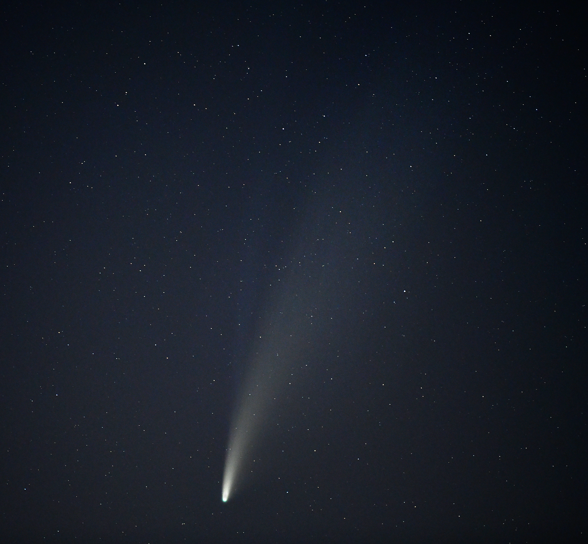 comet neowise