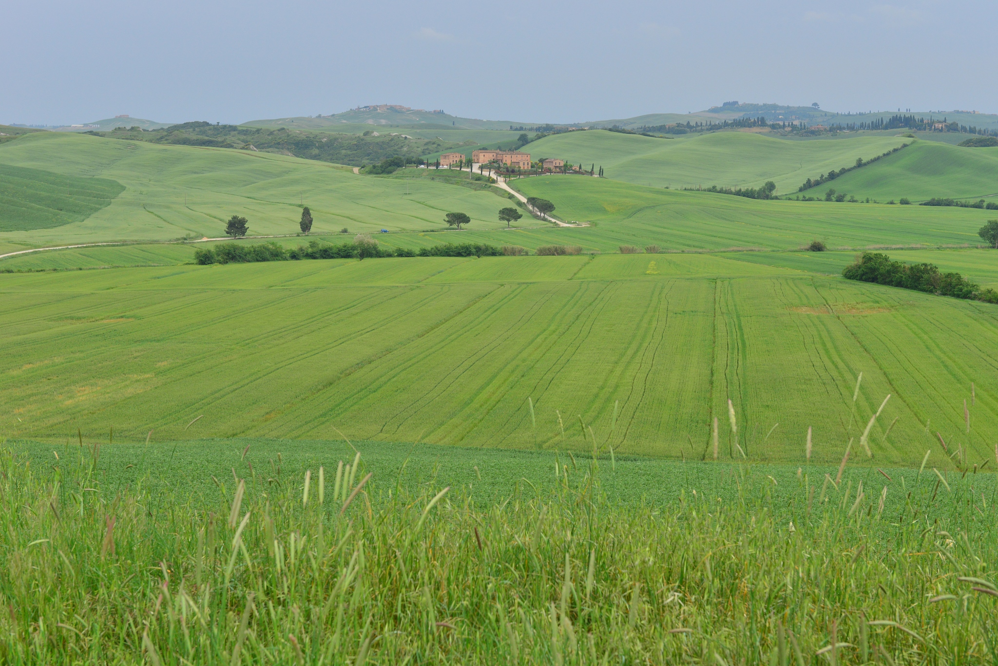 early summer landscape of toscana, italy