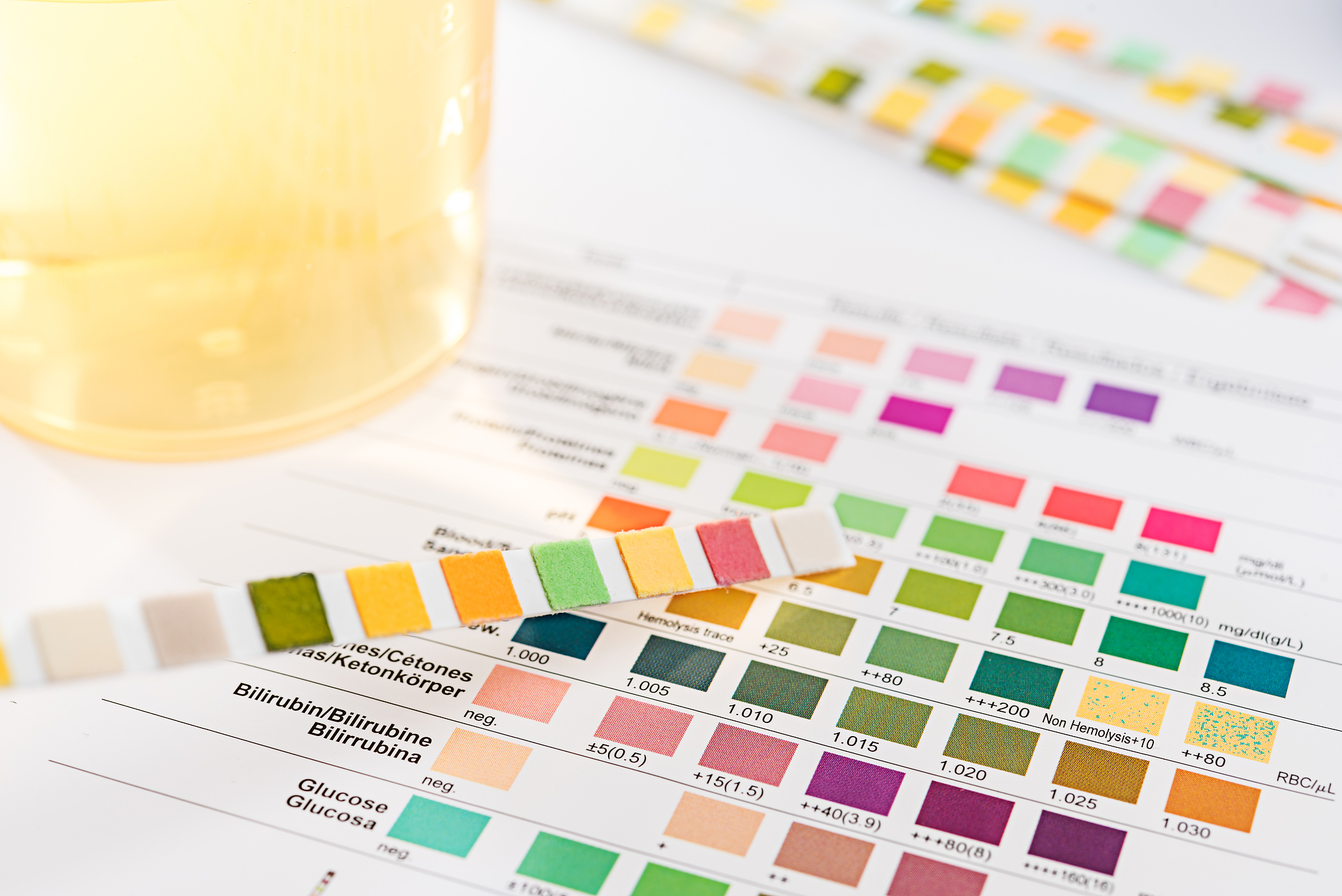 以下哪种情况可能是低白蛋白的原因？？多选题 A肝功能下降 B蛋白质摄入减少 C蛋白丢失性肠病 D蛋白丢失性肾病 E烧伤或失血