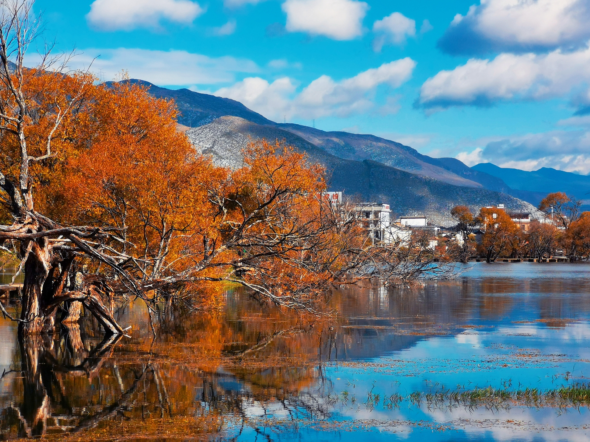 摄影入门指南：掌握五大美学知识，拍出惊艳照片